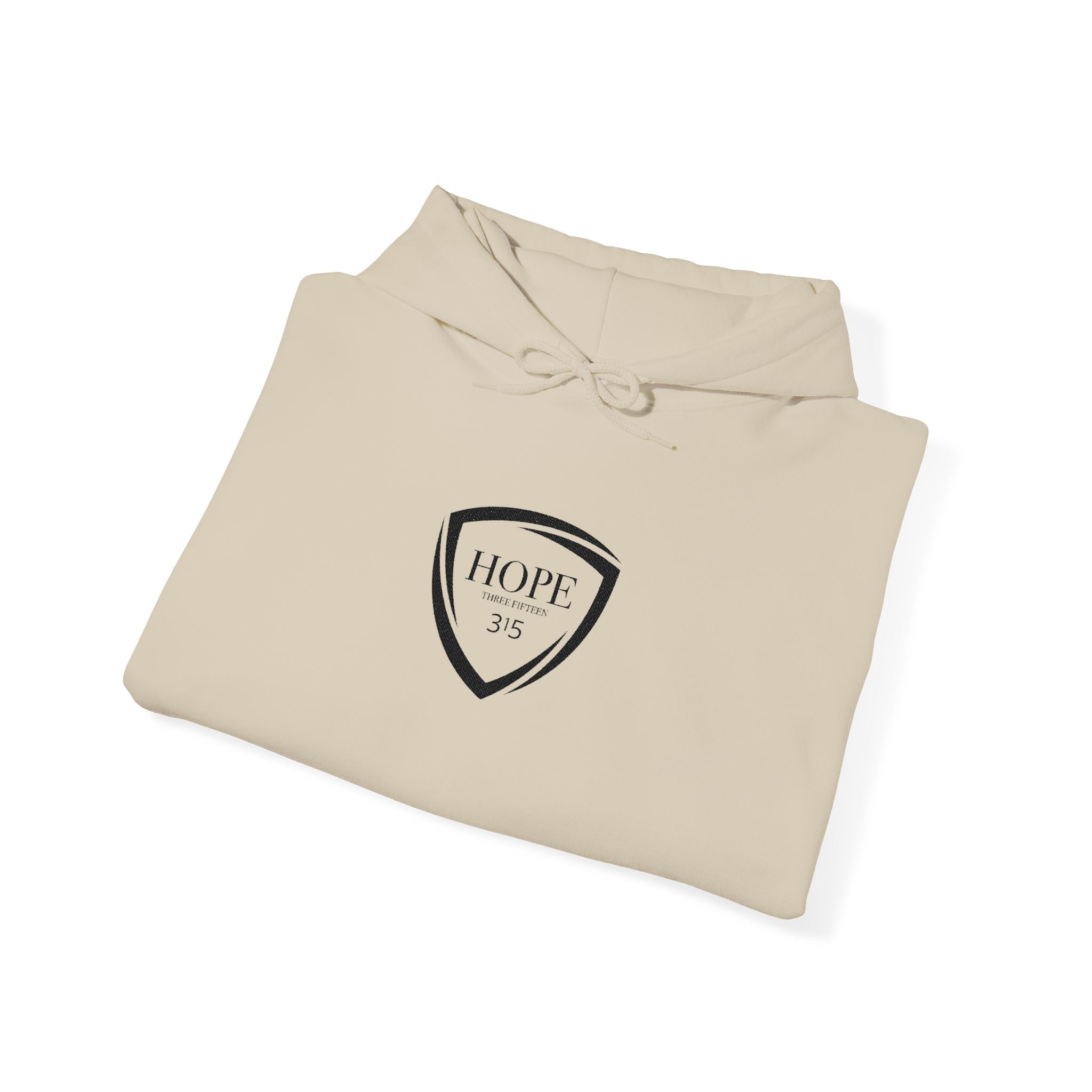 16 - Multi Color - Embroidered Hope Shield Hoodie — Pullover