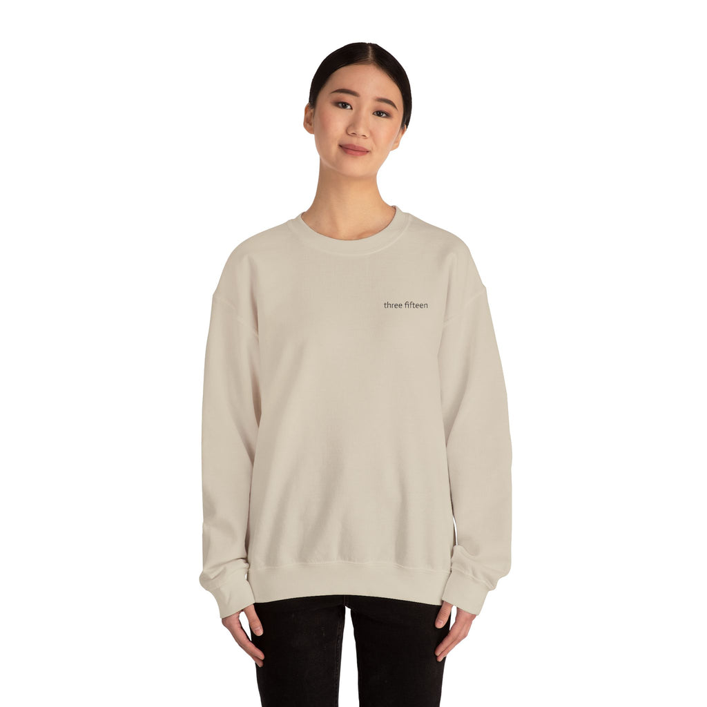 15 - Three Fifteen Embroidered Crewneck Sweatshirt — Minimal Graphic Pullover