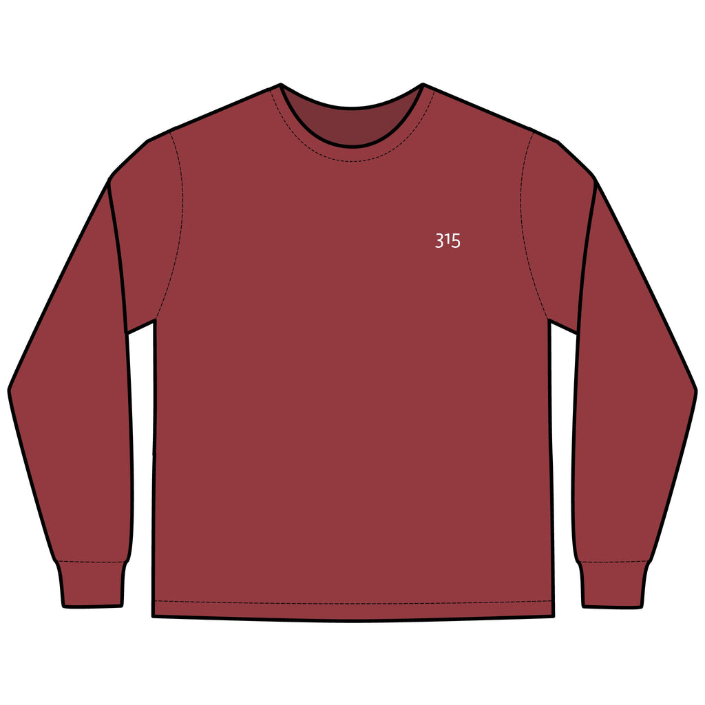 Multi Colors Hanes Garment-Dyed Long Sleeve T-Shirt with 315 Print