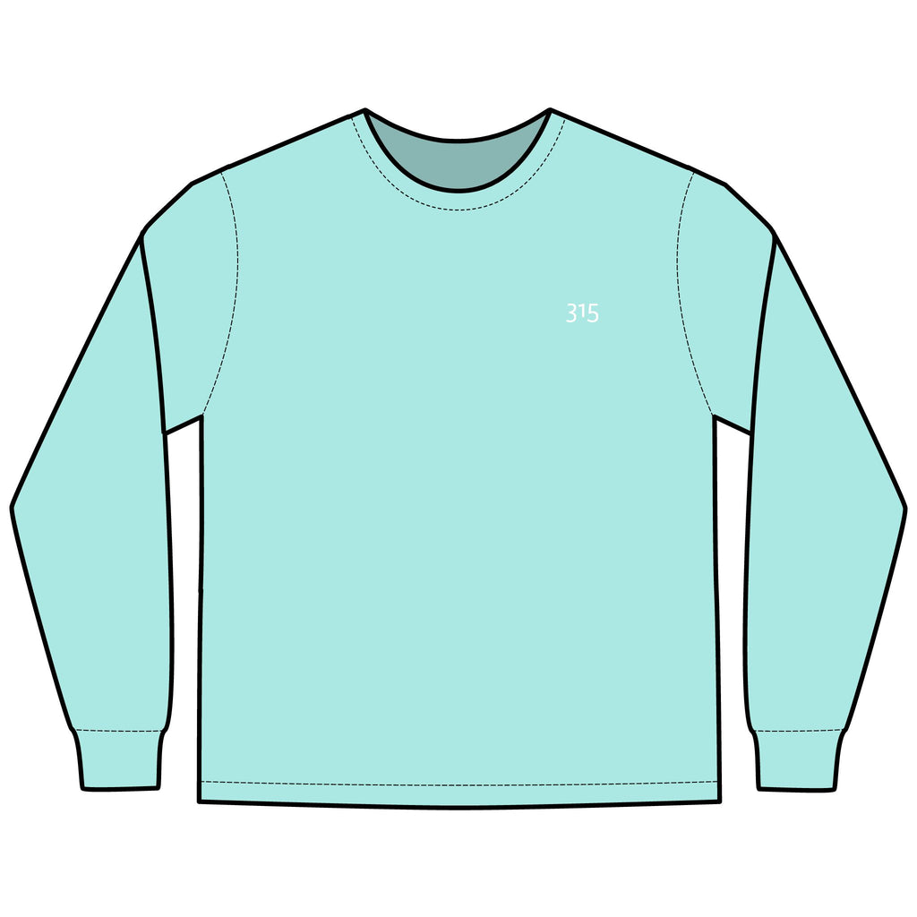 Multi Colors Hanes Garment-Dyed Long Sleeve T-Shirt with 315 Print