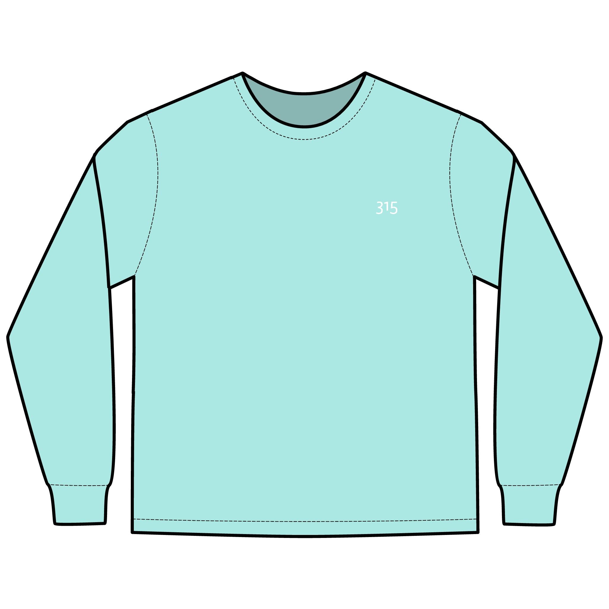 Multi Colors Hanes Garment-Dyed Long Sleeve T-Shirt with 315 Print