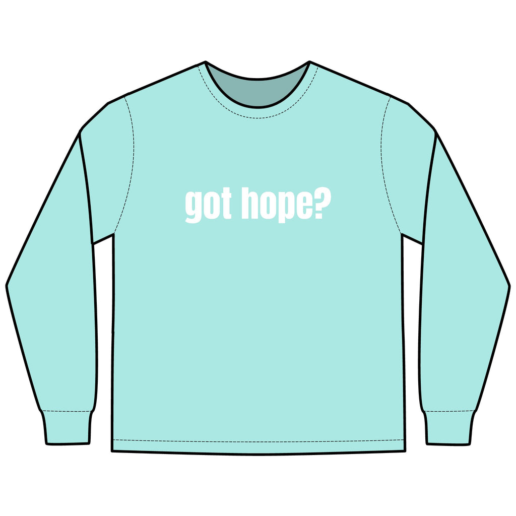 Multi Colors Hanes Garment-Dyed Long Sleeve T-Shirt with 315 Print