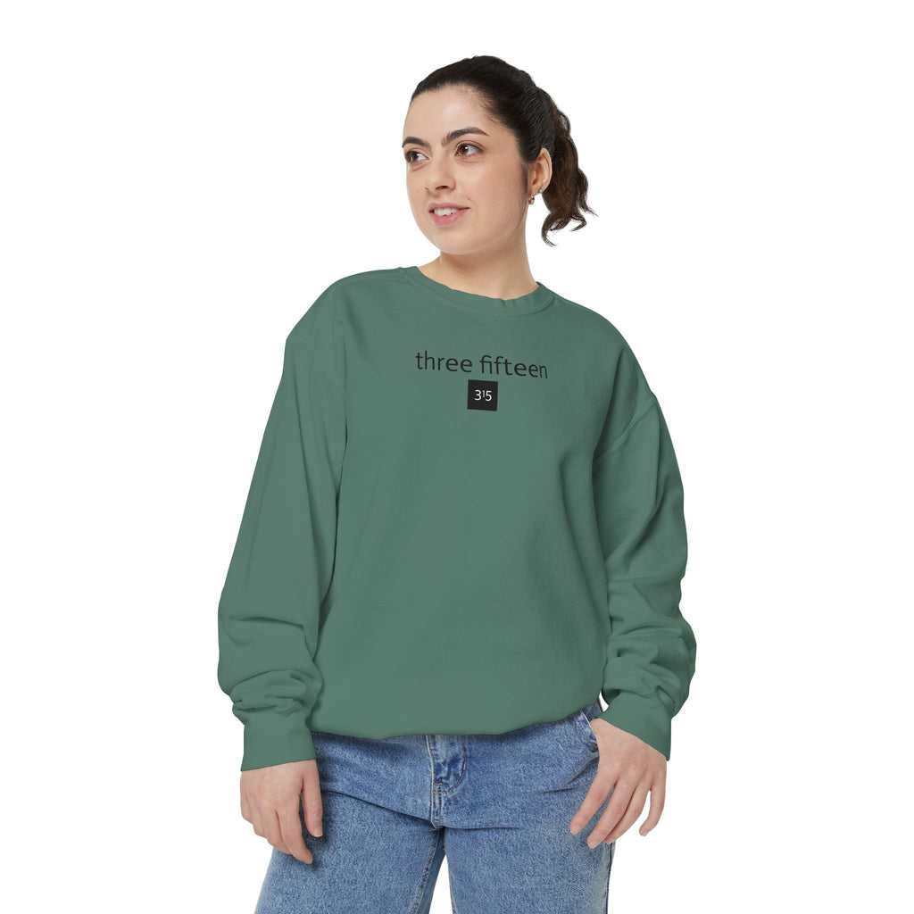 15 - Sweatshirt 315 Multi Color - Embroidered Minimalist Logo Sweatshirt —Crewneck Casual Pullover