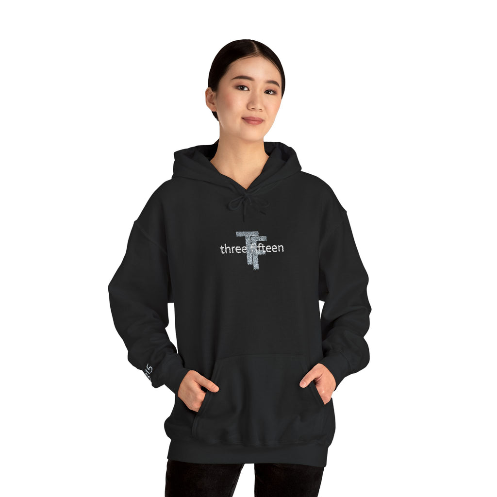 16 - Hoodie TF Three Fifteen Embroidered