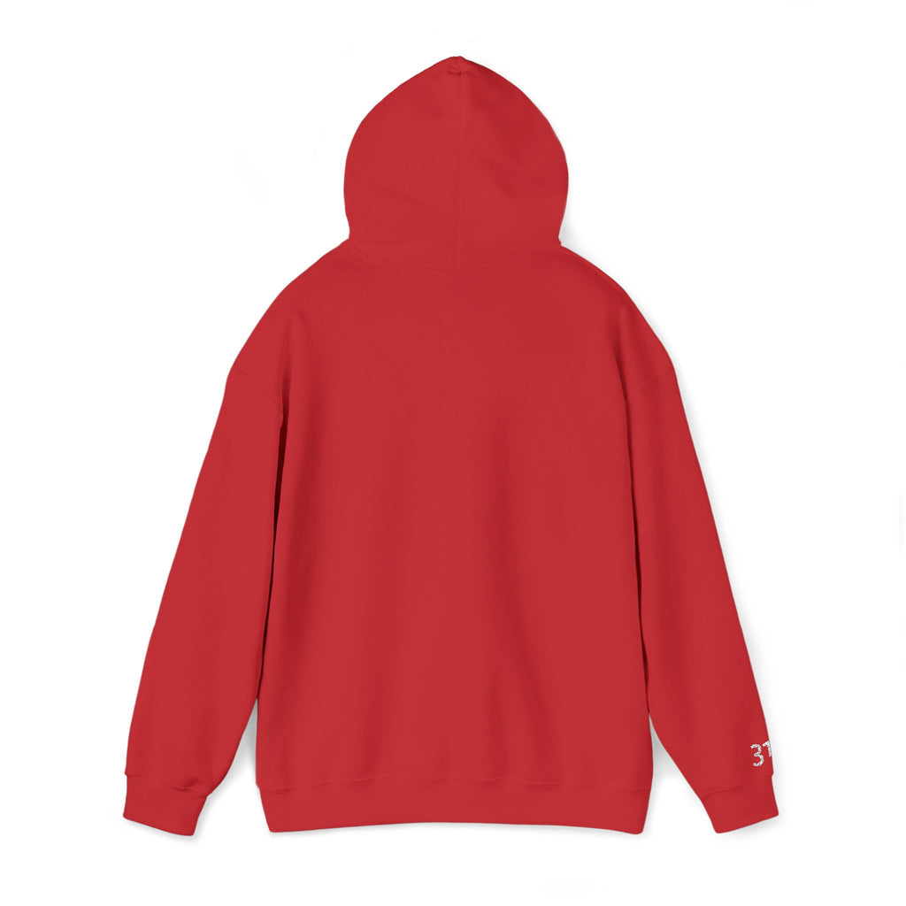 16 - Embroidered Got Hope? Hoodie Multi Color - Hope Matters - Hoodie — Minimal Black Square Anchor Logo Pullover