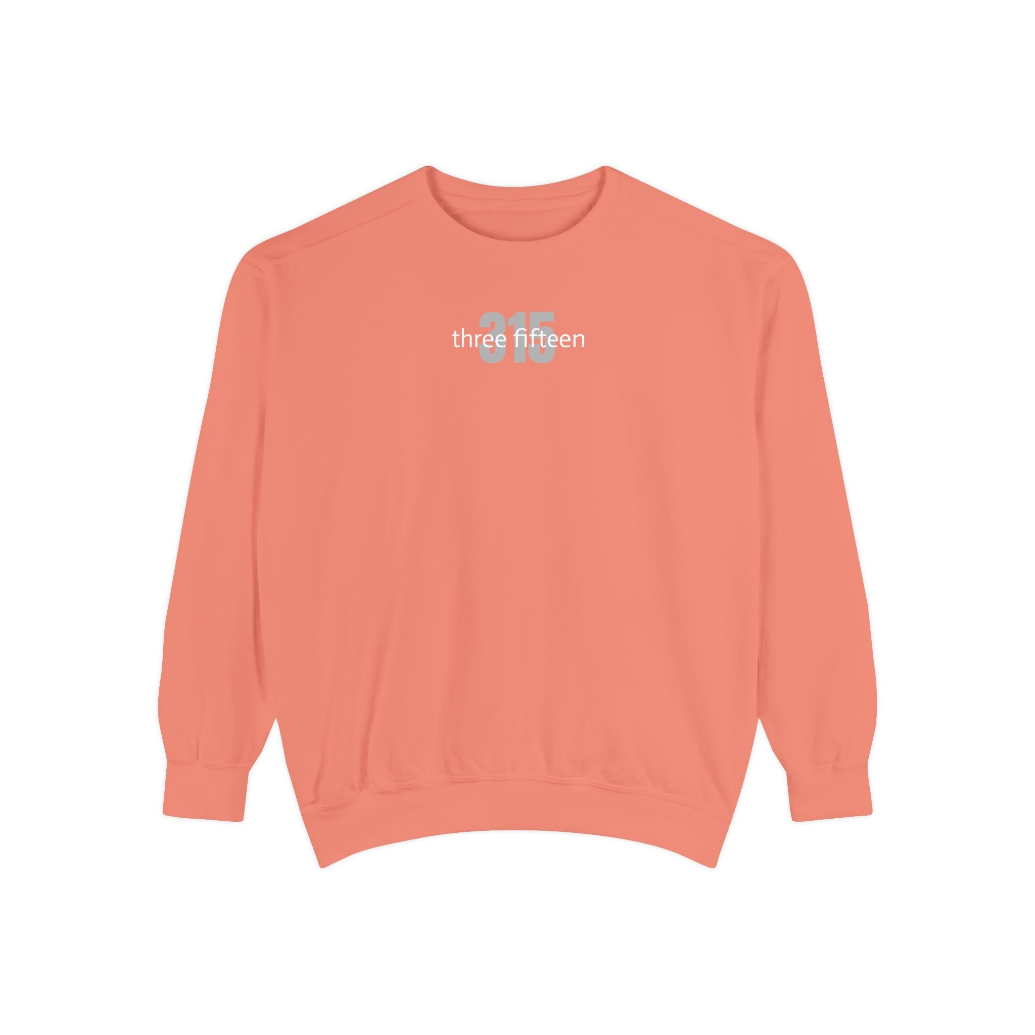 15 - Sweatshirt Bold 315 Multi Color - Embroidered Minimalist Logo Sweatshirt —Crewneck Casual Pullover