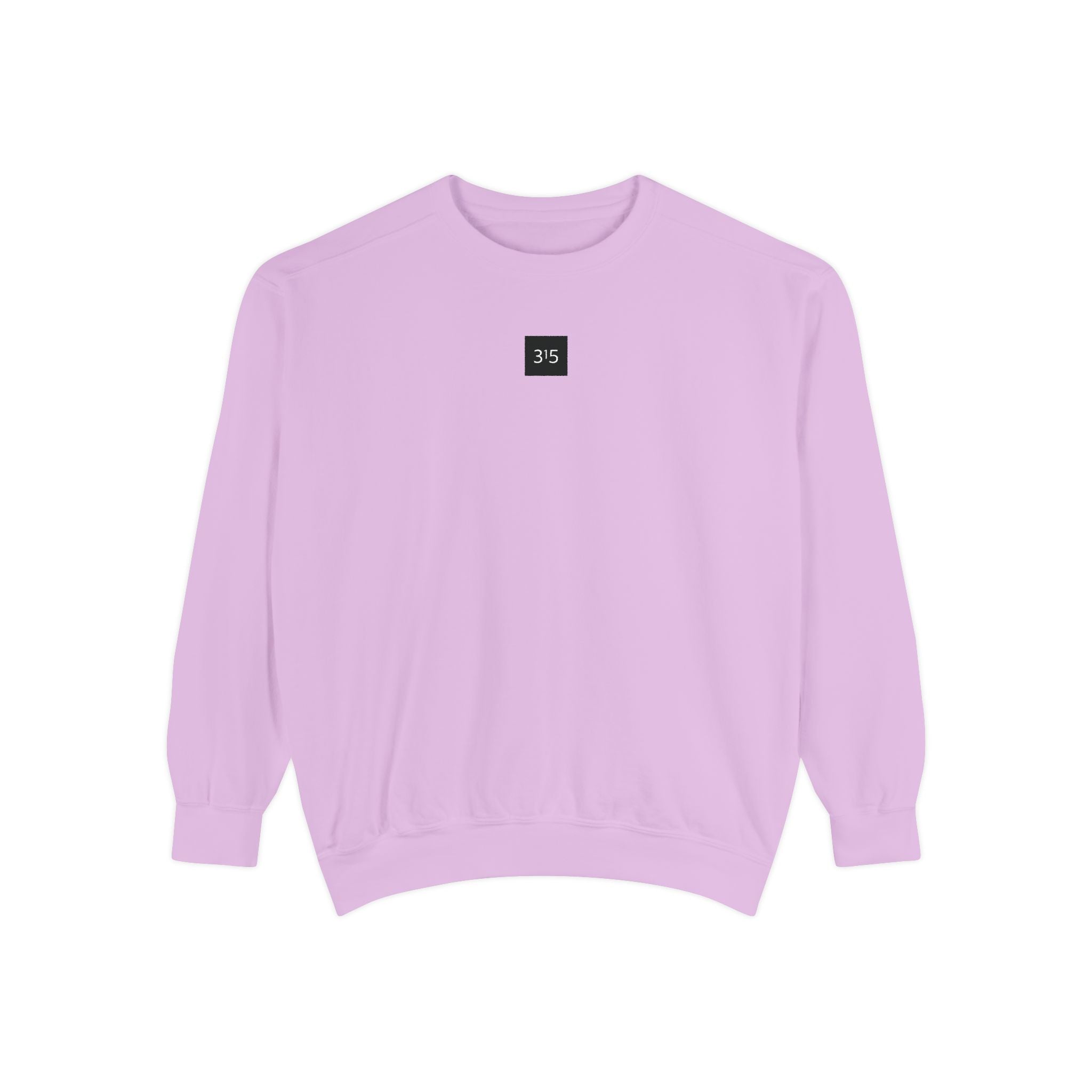 15 - Sweatshirt 315 Multi Color - Embroidered Minimalist Logo Sweatshirt —Crewneck Casual Pullover
