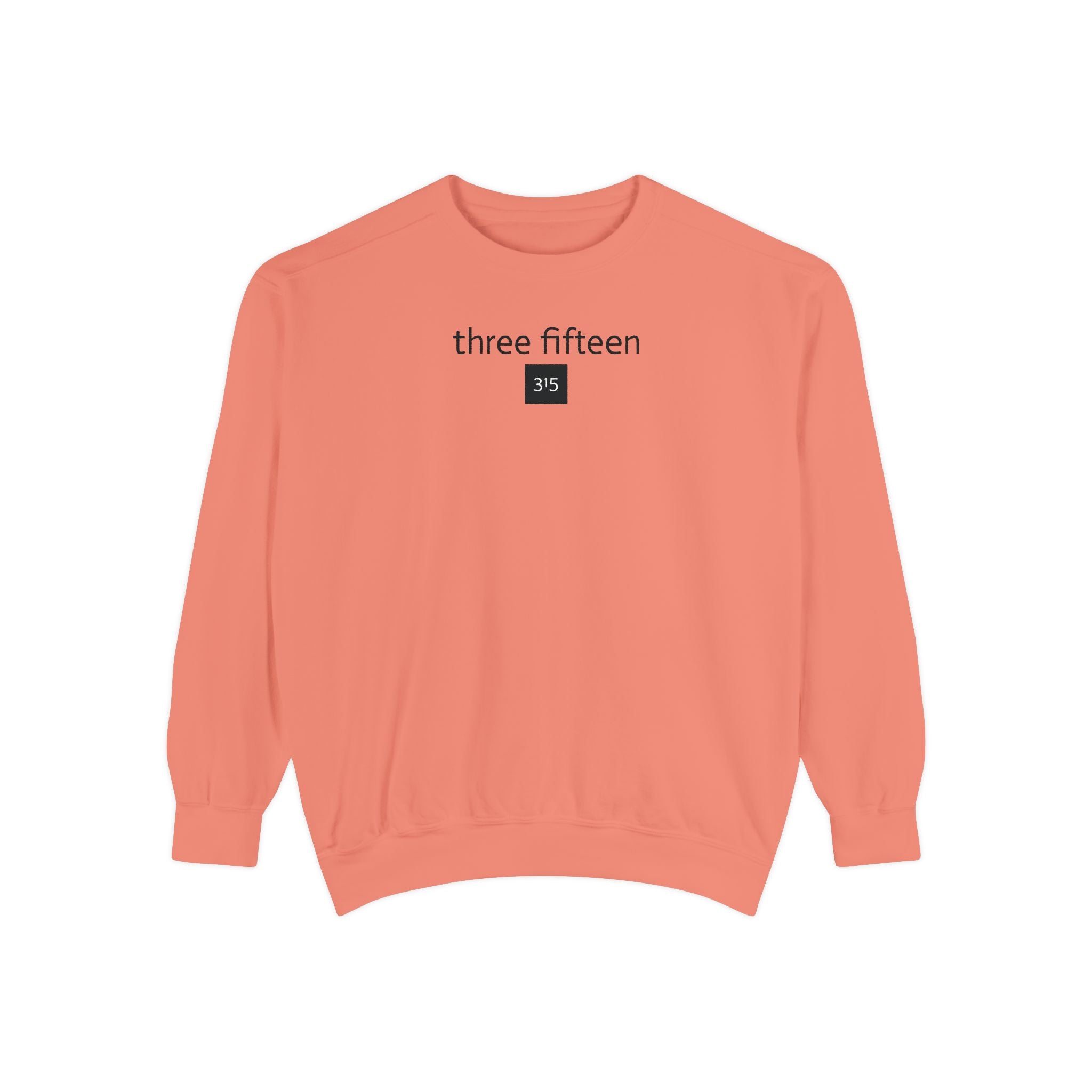 15 - Sweatshirt 315 Multi Color - Embroidered Minimalist Logo Sweatshirt —Crewneck Casual Pullover