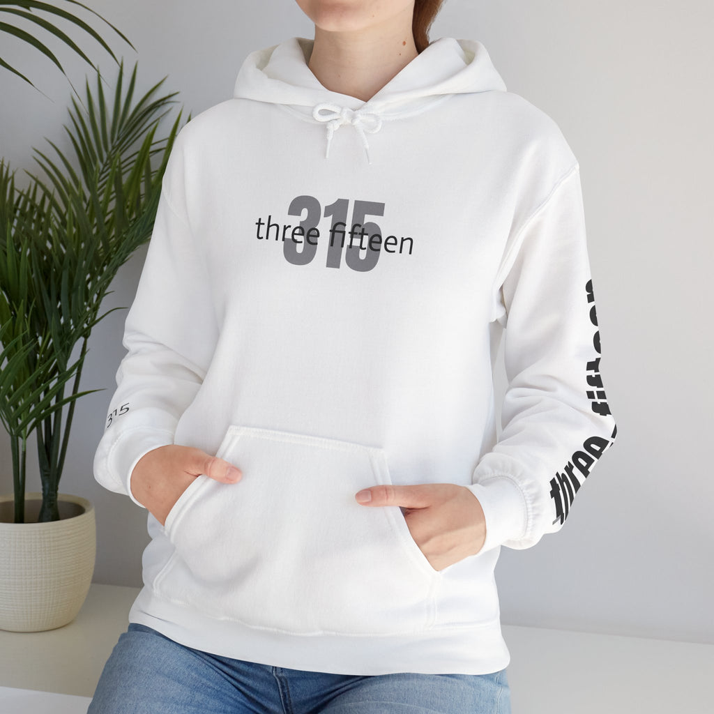 16 - Multi Color Printed Bold 315 Three Fifteen Inspirational Quote Hoodie - This Isn't The End Of My Story