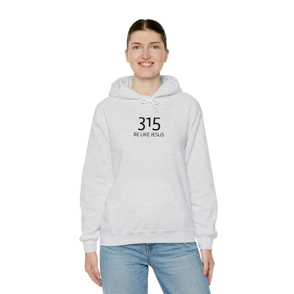 16 - 315 Be Like Jesus Embroidered Hoodie — Minimalist Distressed Graphic Sweatshirt