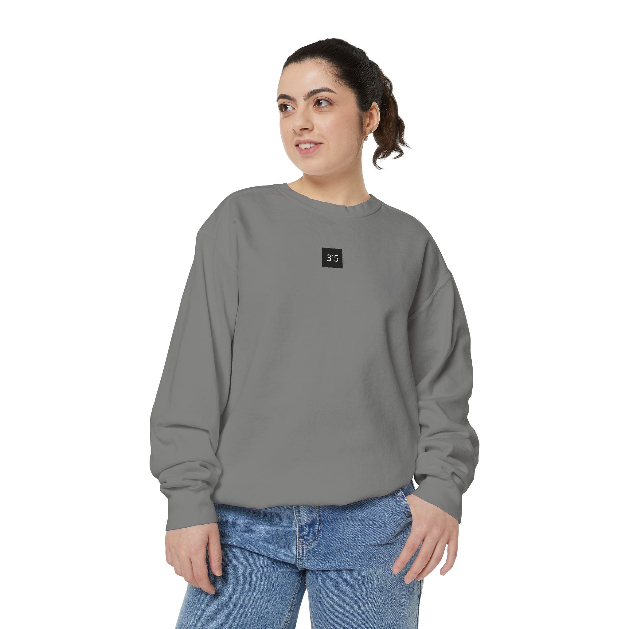 15 - Sweatshirt 315 Multi Color - Embroidered Minimalist Logo Sweatshirt —Crewneck Casual Pullover