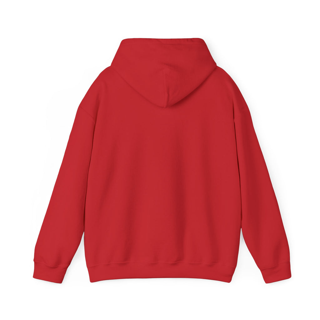 16 - Multi Color Custom Unisex Hooded Sweatshirt - Perfect for Everyday Comfort