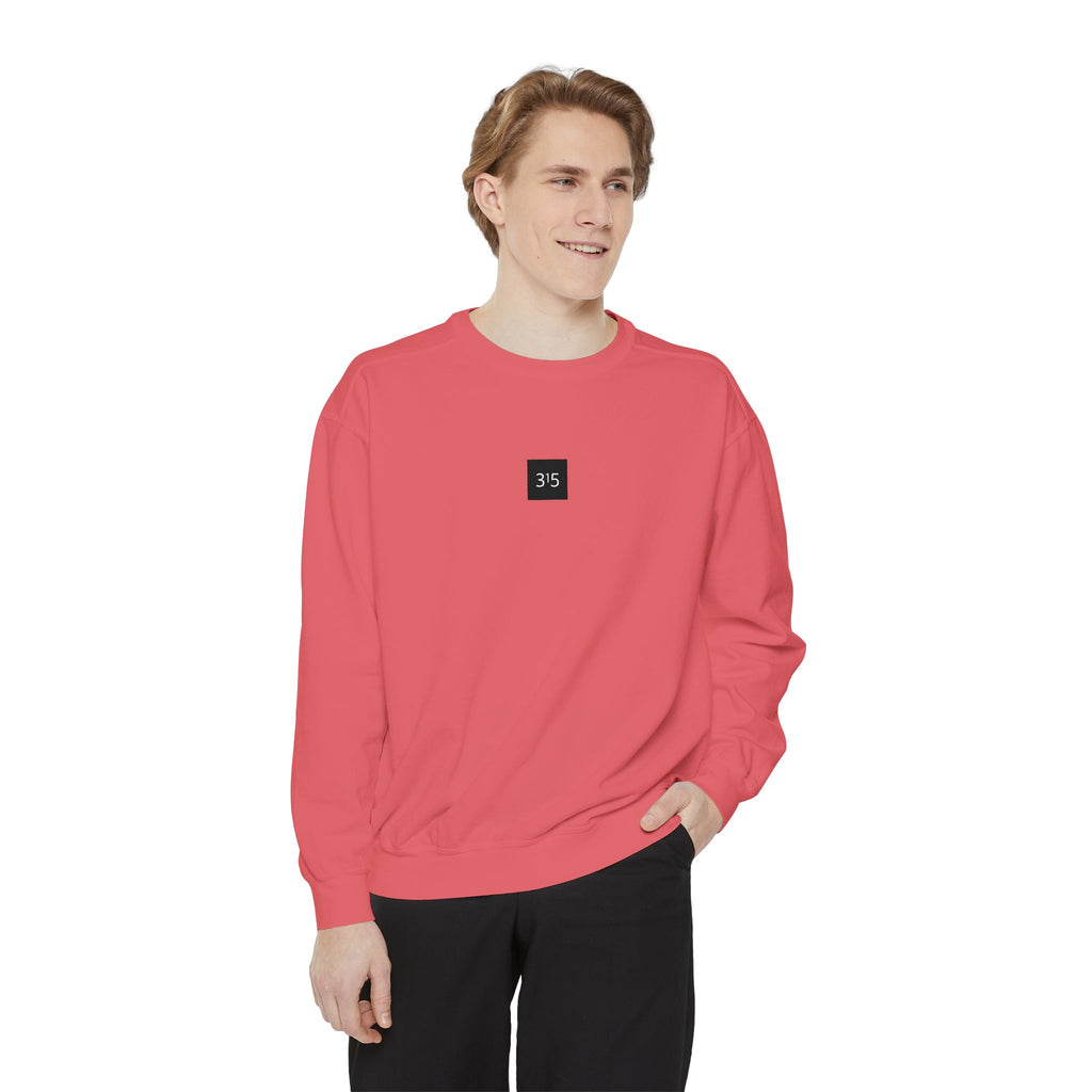 Multi Color Embroidered 315 Minimalist Logo Sweatshirt — White Crewneck Casual Pullover