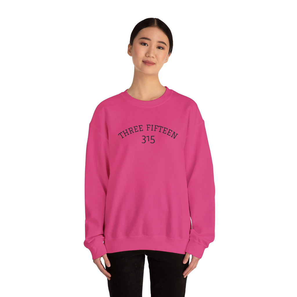 15 - Minimal '315' Embroidered Logo Crewneck Sweatshirt — White Casual Pullover