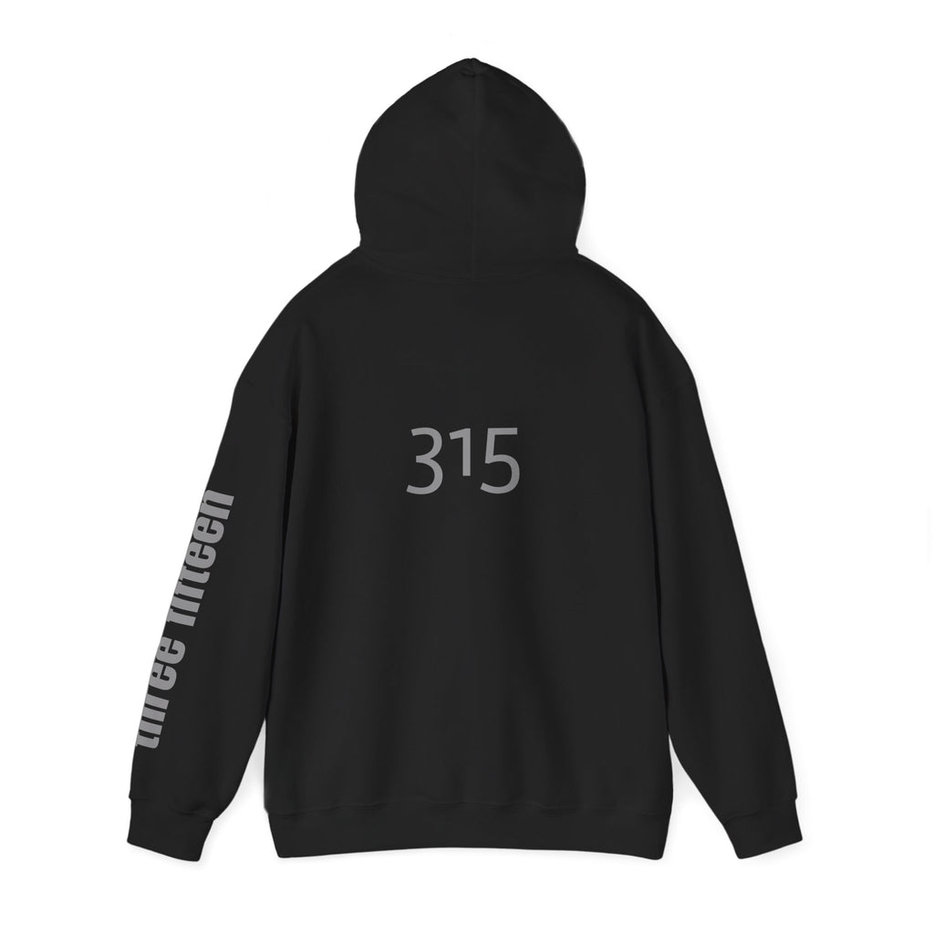 16 - TF Three Fifteen Inspirational Quote Hoodie - This Isn't The End Of My Story