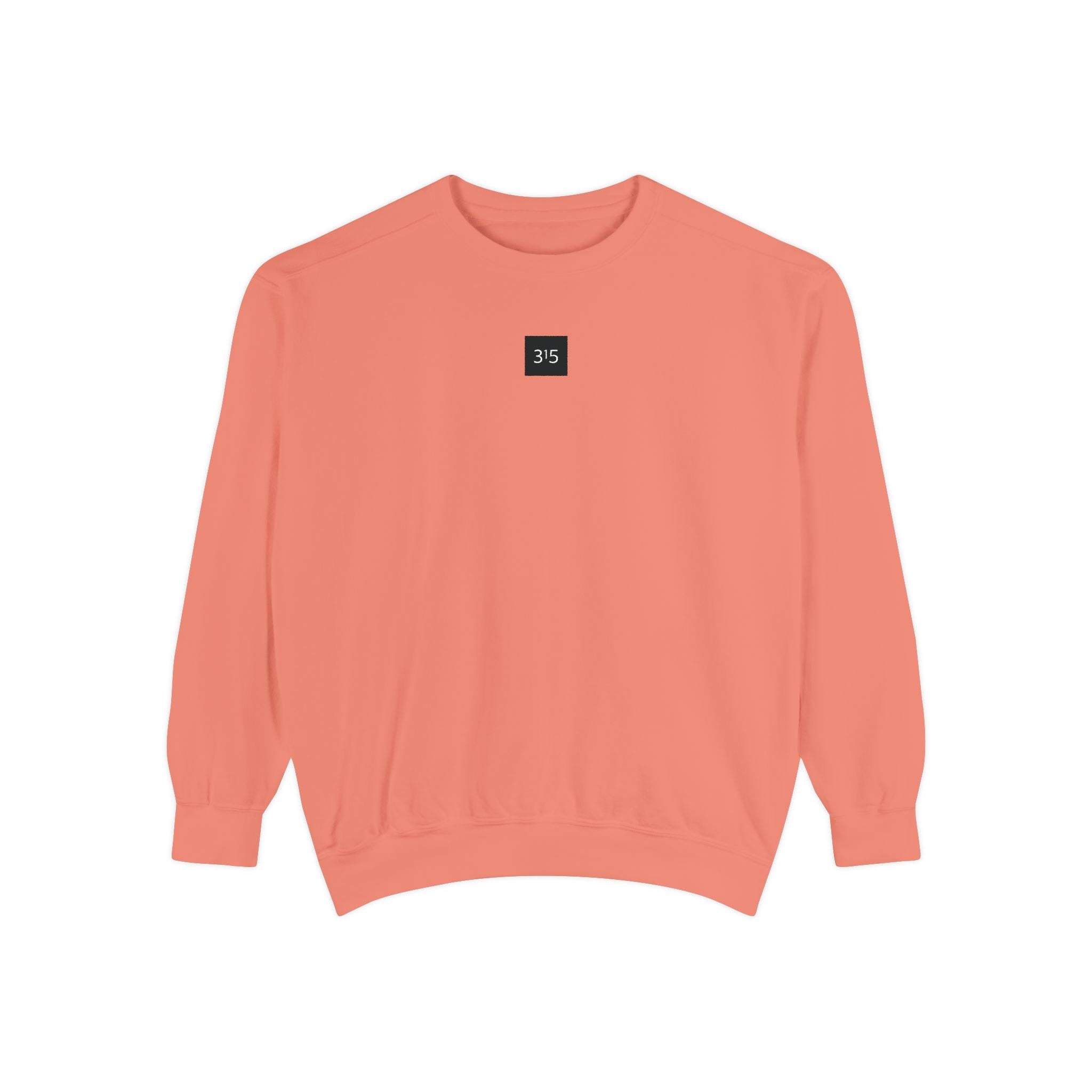 15 - Sweatshirt 315 Multi Color - Embroidered Minimalist Logo Sweatshirt —Crewneck Casual Pullover