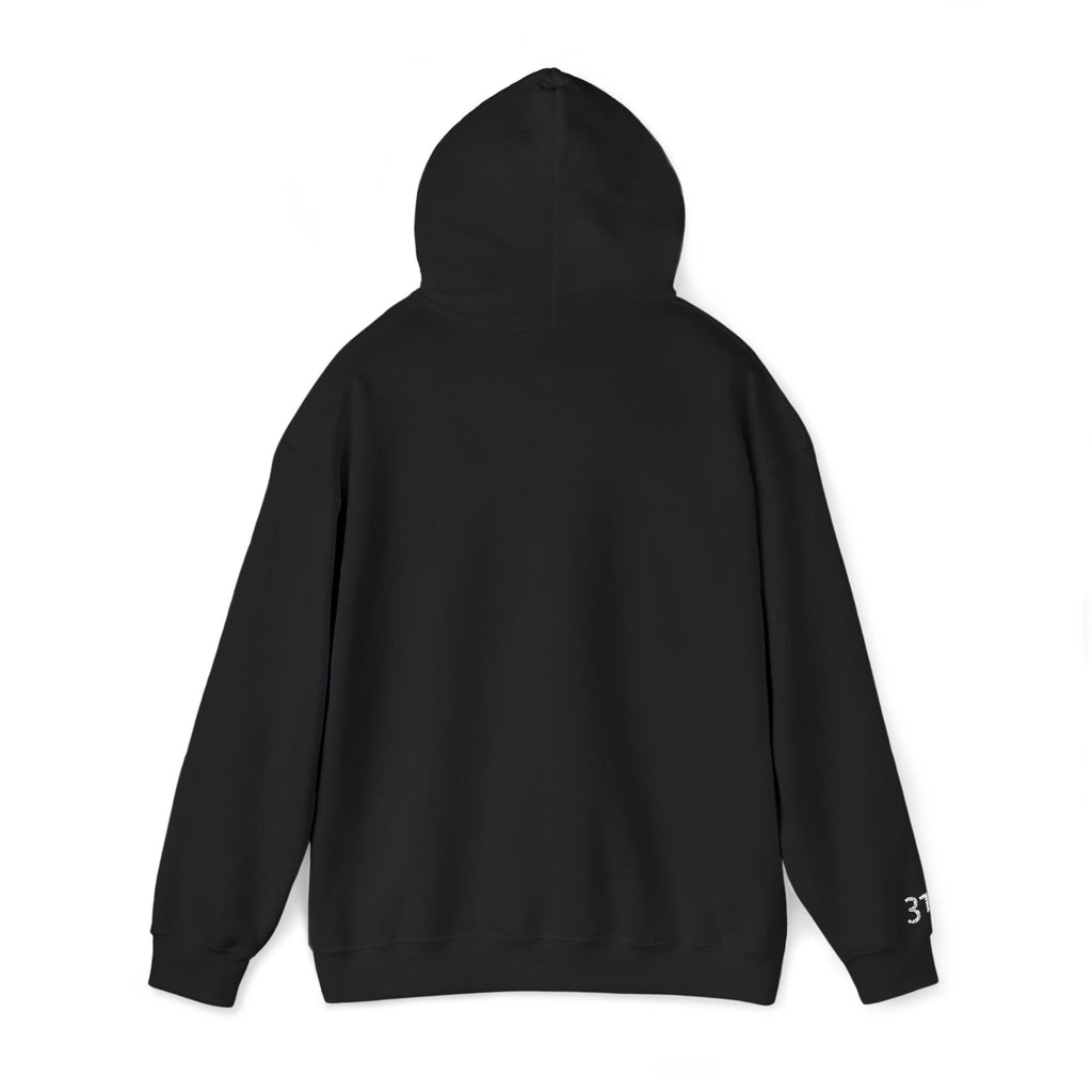 16 - Hoodie 3 Fifteen Embroidered Hoodie Multi Color - Hope Matters - Hoodie — Minimal Black Square Anchor Logo Pullover