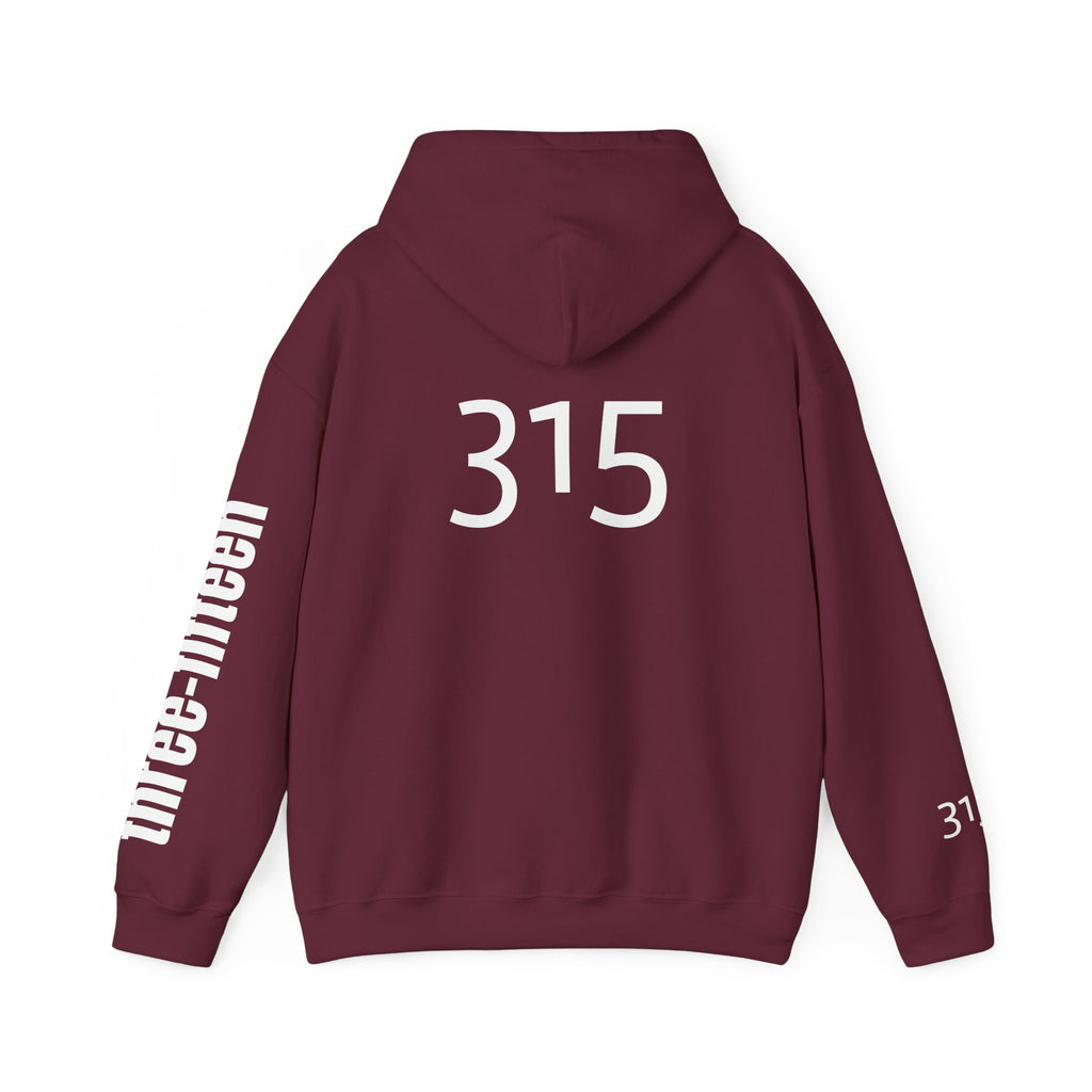 Multi Color Three-Fifteen Inspirational Quote Hoodie - This Isn't The End Of My Story