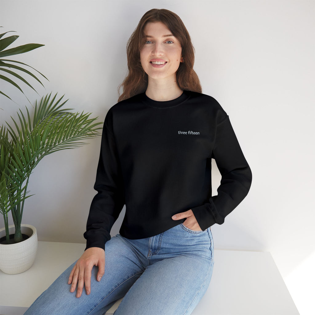 15 - Three Fifteen Embroidered Crewneck Sweatshirt — Minimal Graphic Pullover