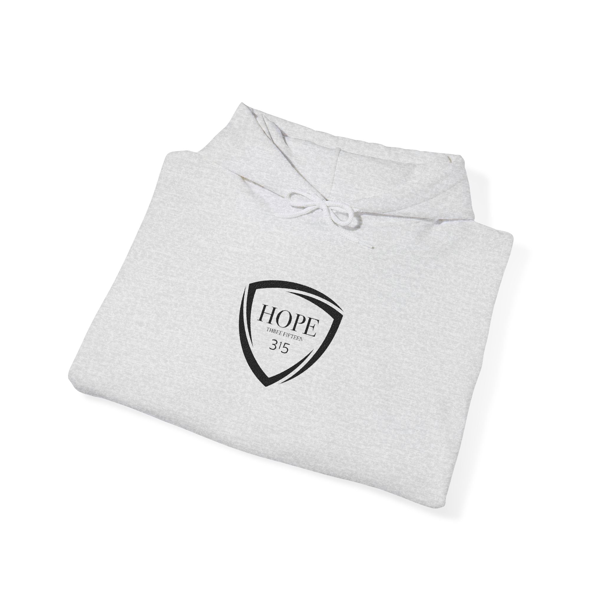 16 - Multi Color - Embroidered Hope Shield Hoodie — Pullover
