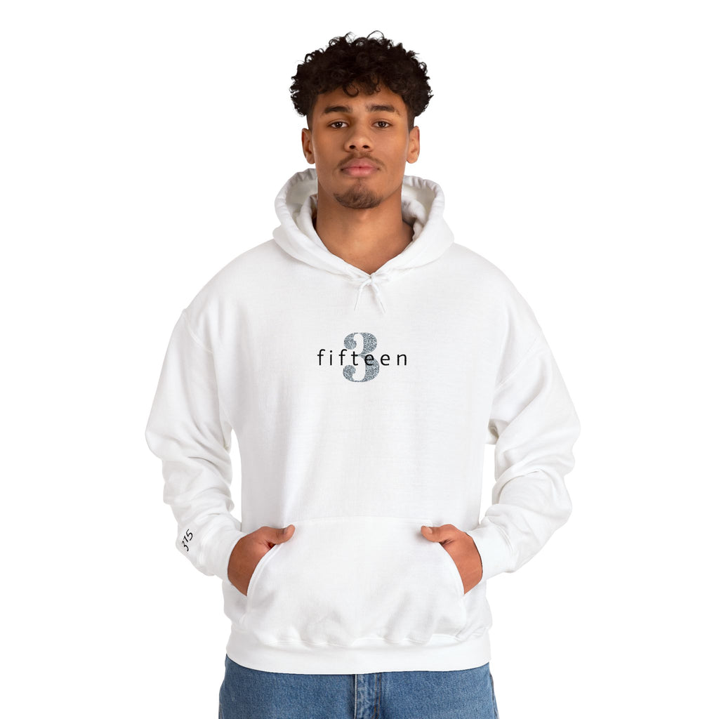 16 - Hoodie 3 Fifteen Embroidered Hoodie Multi Color - Hope Matters - Hoodie — Minimal Black Square Anchor Logo Pullover