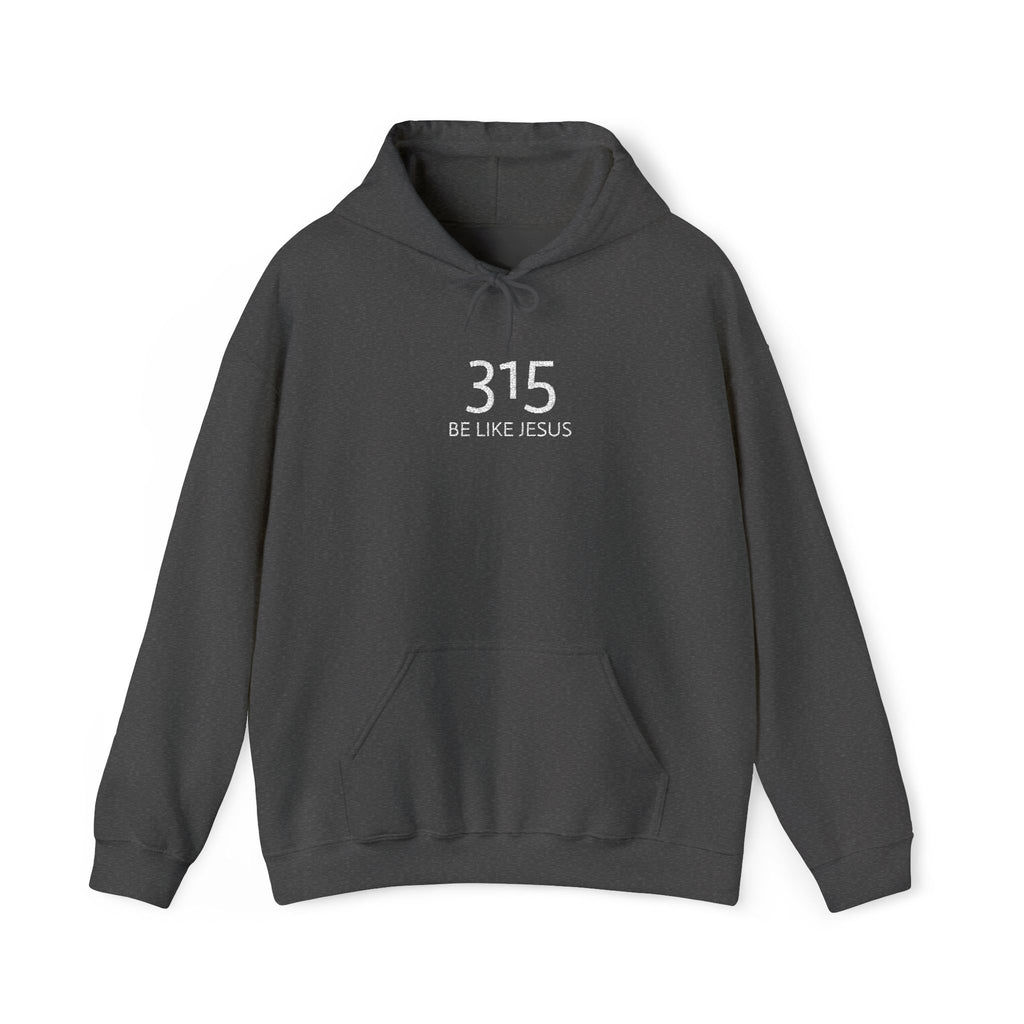 16 - 315 Be Like Jesus Embroidered Hoodie — Minimalist Distressed Graphic Sweatshirt