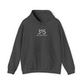 16 - 315 Be Like Jesus Embroidered Hoodie — Minimalist Distressed Graphic Sweatshirt
