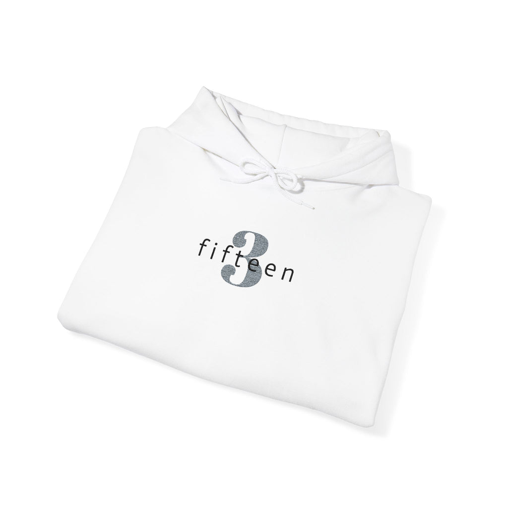 16 - Hoodie 3 Fifteen Embroidered Hoodie Multi Color - Hope Matters - Hoodie — Minimal Black Square Anchor Logo Pullover
