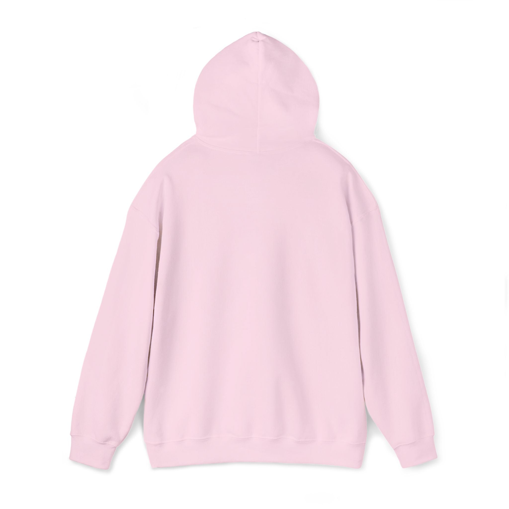 16 - Multi Color - Embroidered Hope Shield Hoodie — Pullover