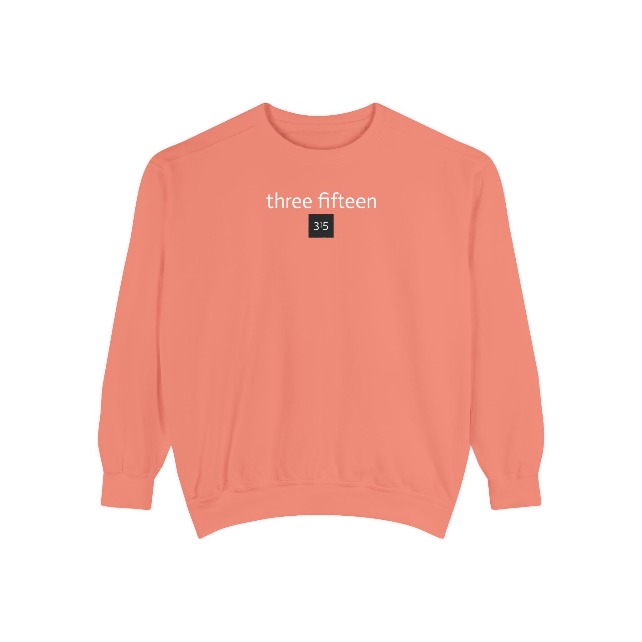 15 - Sweatshirt 315 Multi Color - Embroidered Minimalist Logo Sweatshirt —Crewneck Casual Pullover