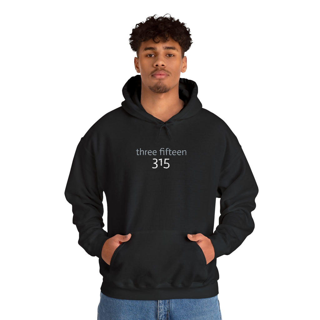 16 - 315 Three Fifteen Embroidered Hoodie — Minimalist Distressed Graphic Sweatshirt