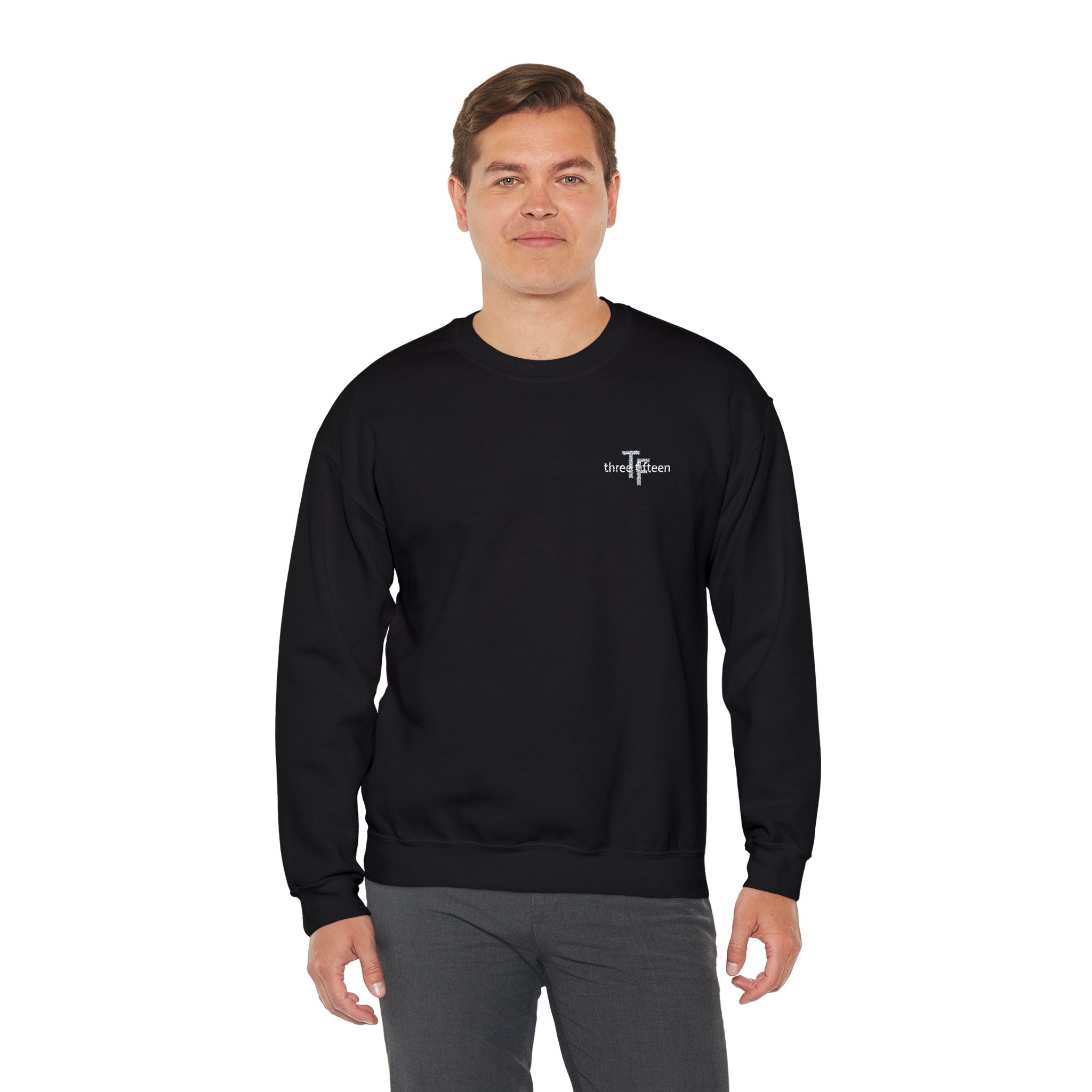 15 - TF Three Fifteen Embroidered Crewneck Sweatshirt — Minimal Graphic Pullover
