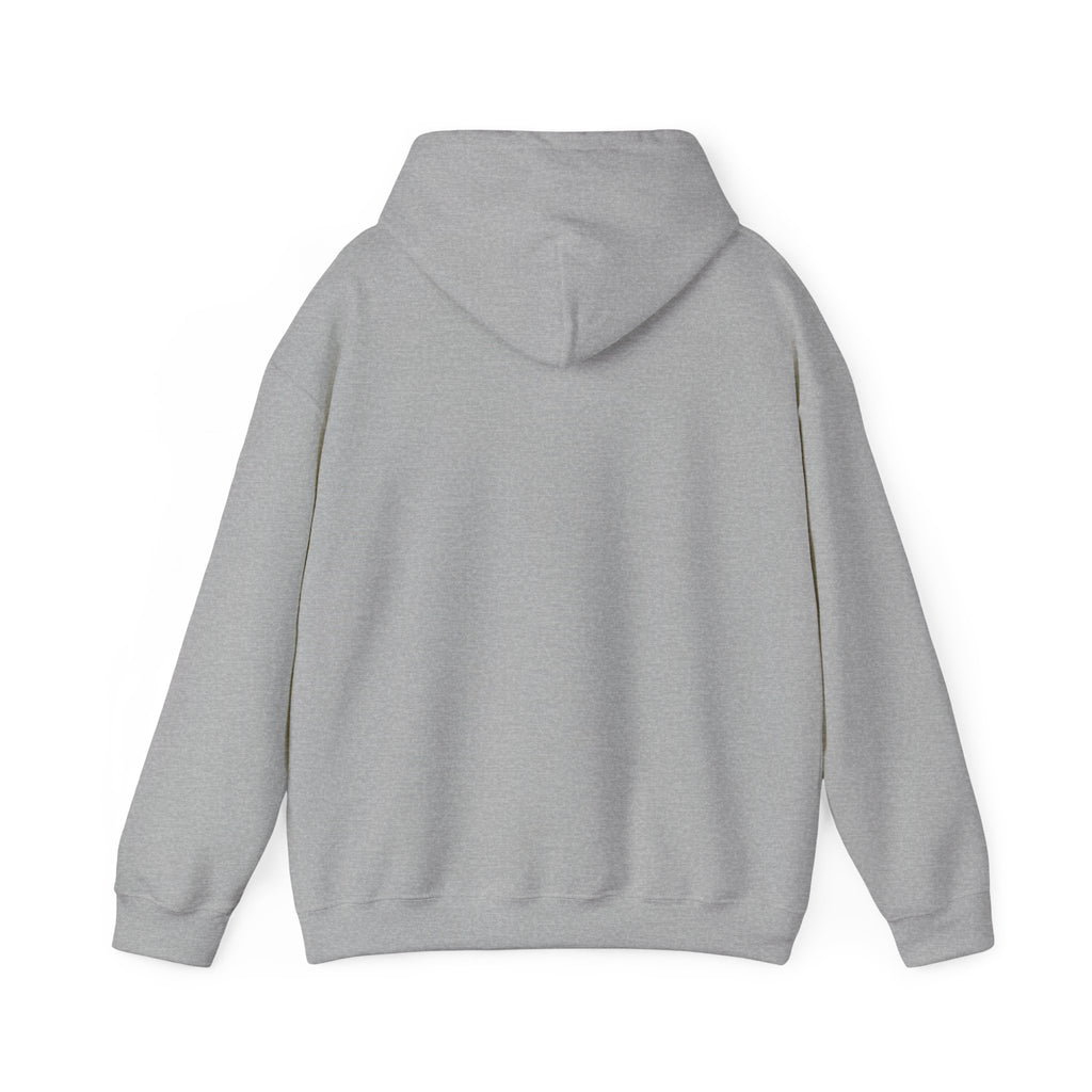 16 - Multi Color Custom Unisex Hooded Sweatshirt - Perfect for Everyday Comfort