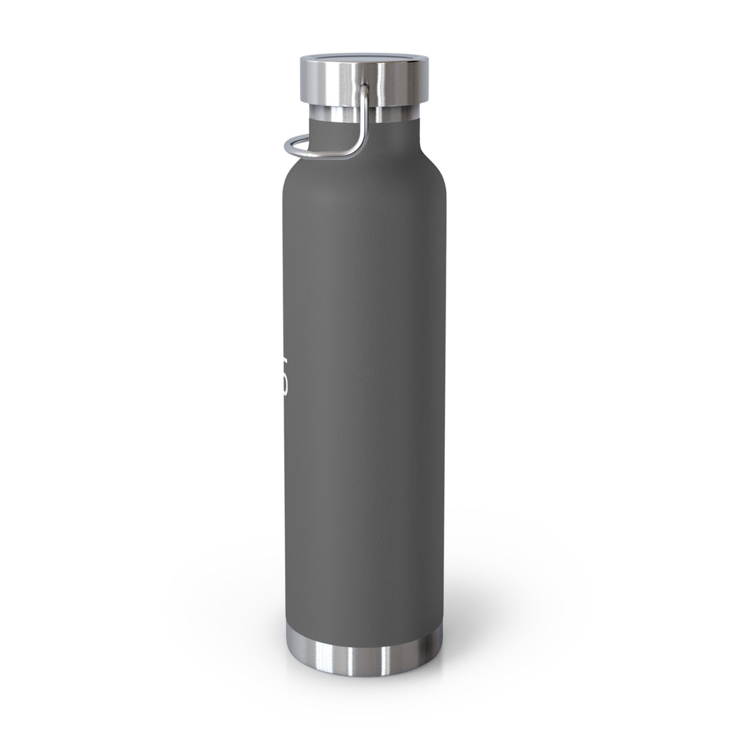 315 - Multiple Colors 22oz Insulated Water Bottle — Vacuum Copper-Style Travel Flask