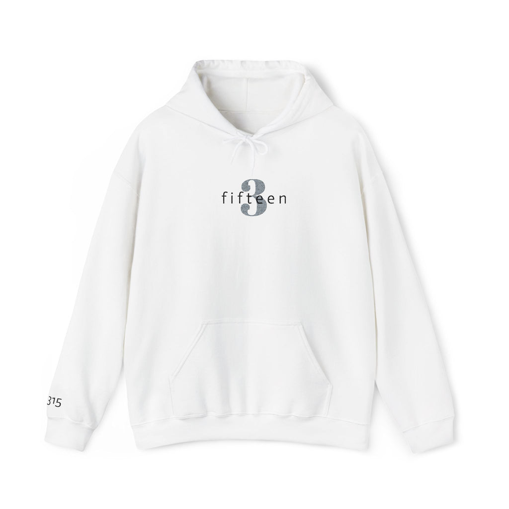 16 - Hoodie 3 Fifteen Embroidered Hoodie Multi Color - Hope Matters - Hoodie — Minimal Black Square Anchor Logo Pullover