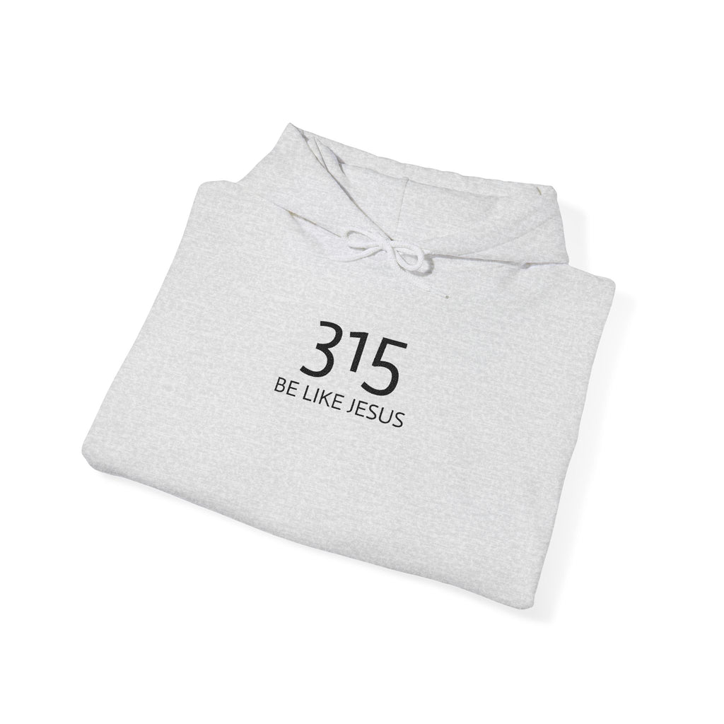 16 - 315 Be Like Jesus Embroidered Hoodie — Minimalist Distressed Graphic Sweatshirt
