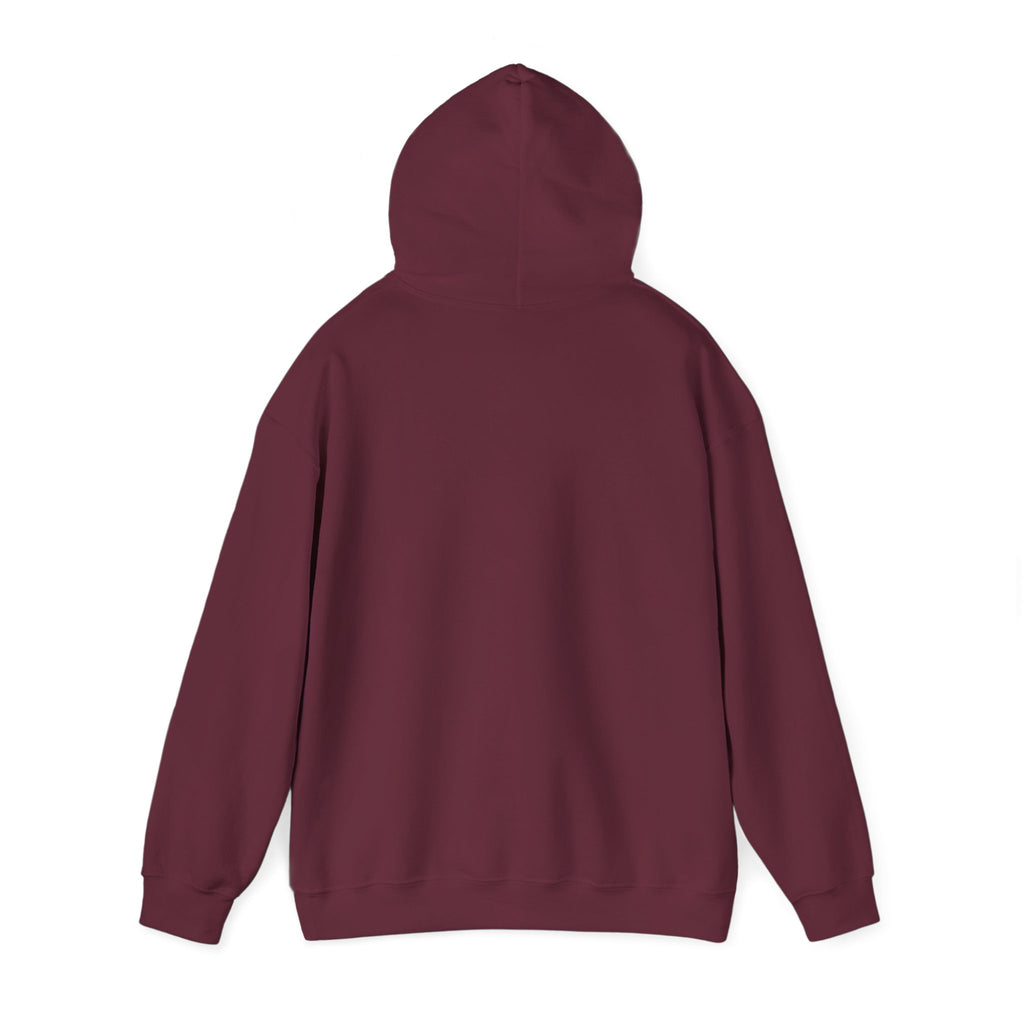 16 - Multi Color Custom Unisex Hooded Sweatshirt - Perfect for Everyday Comfort