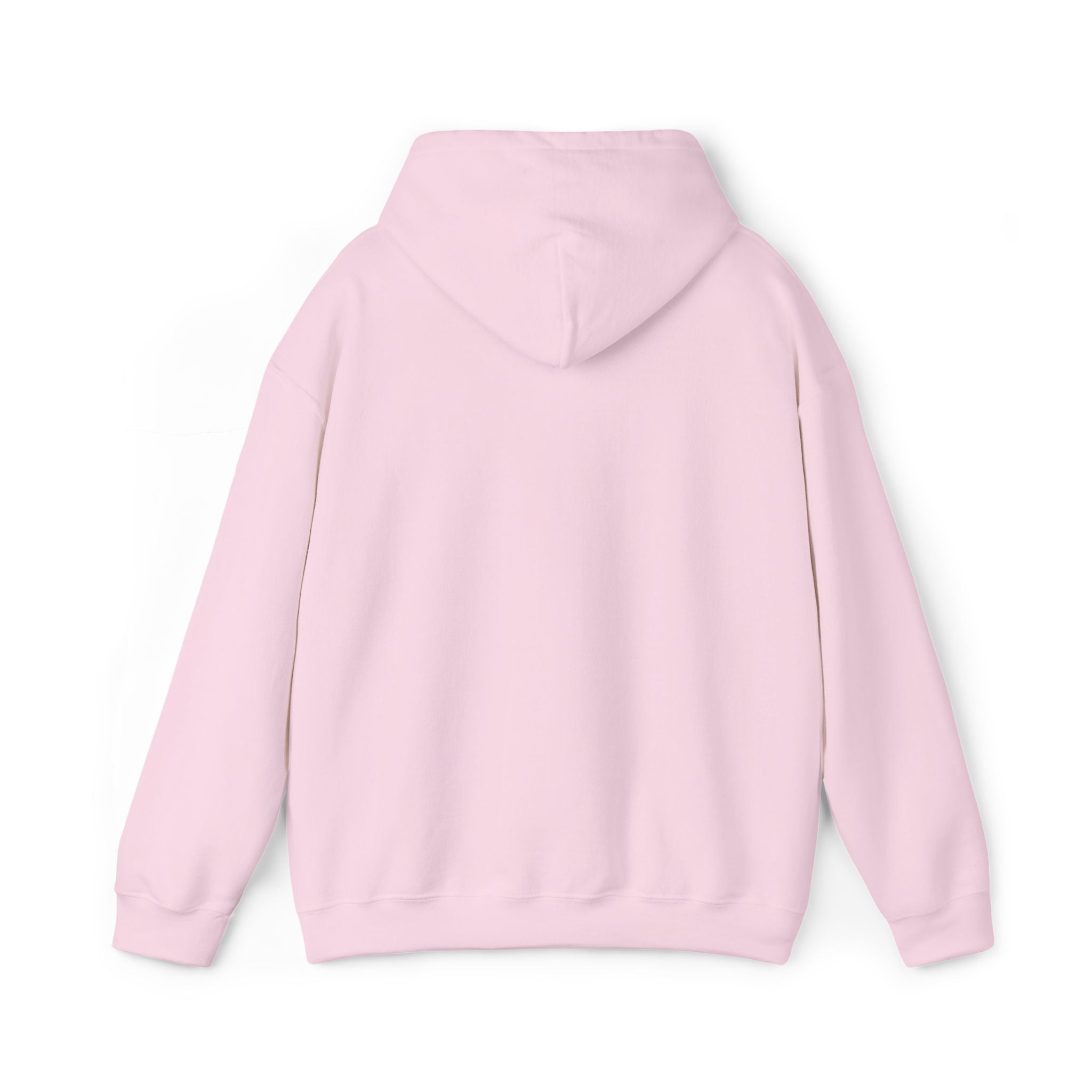 16 - Multi Color - Embroidered Hope Shield Hoodie — Pullover