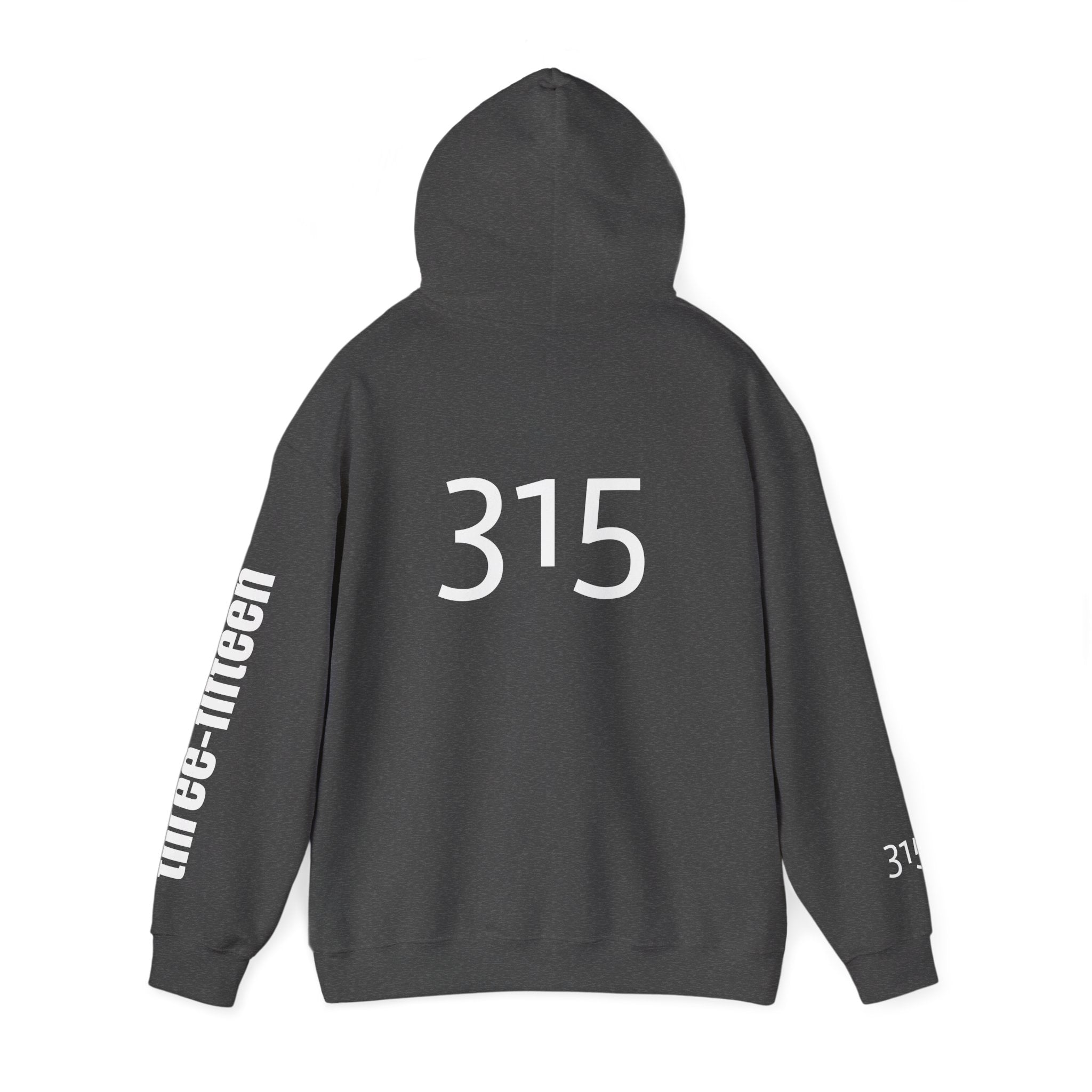 Multi Color Three-Fifteen Inspirational Quote Hoodie - This Isn't The End Of My Story