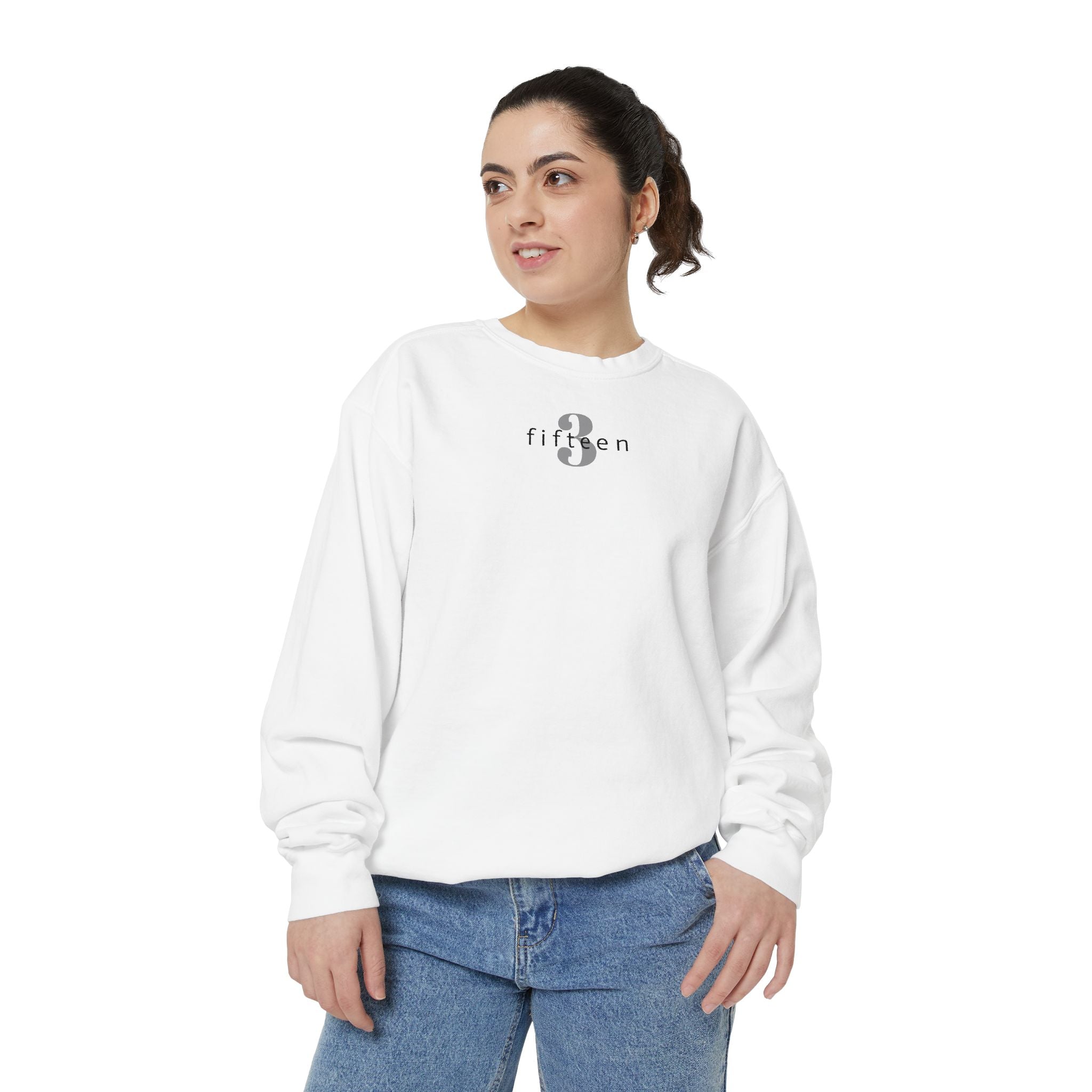 15 - Sweatshirt Bold 315 Multi Color - Embroidered Minimalist Logo Sweatshirt —Crewneck Casual Pullover