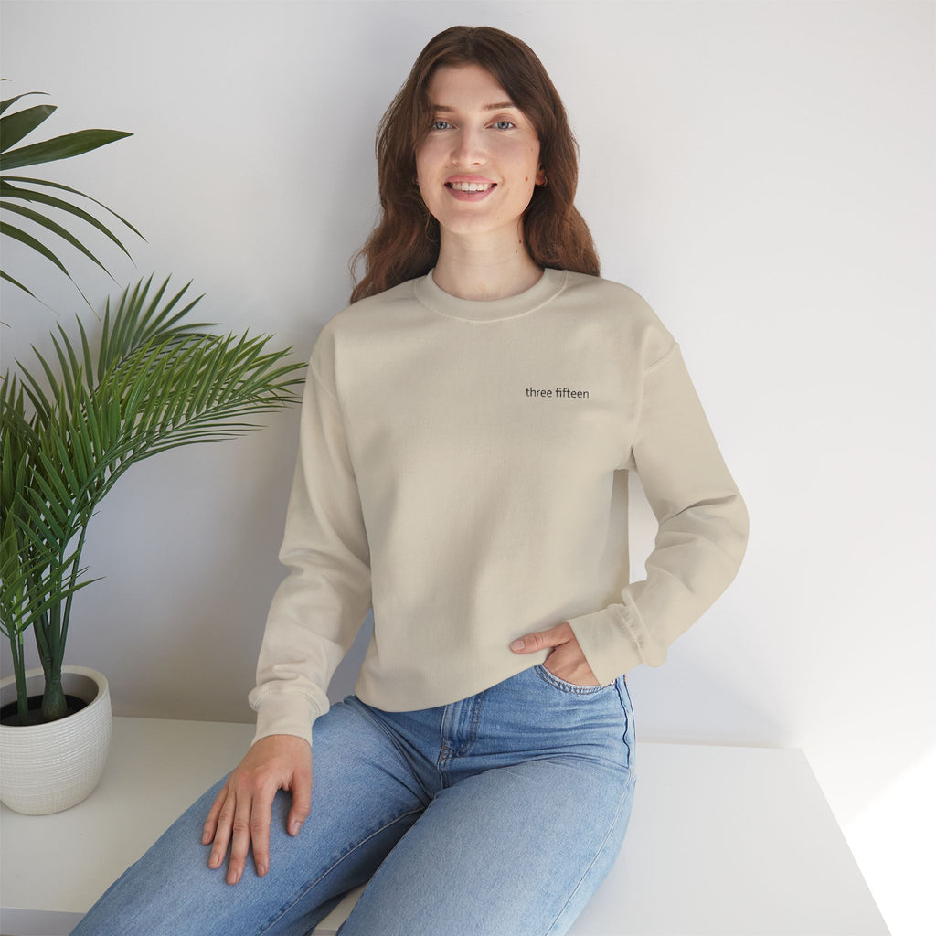 15 - Three Fifteen Embroidered Crewneck Sweatshirt — Minimal Graphic Pullover
