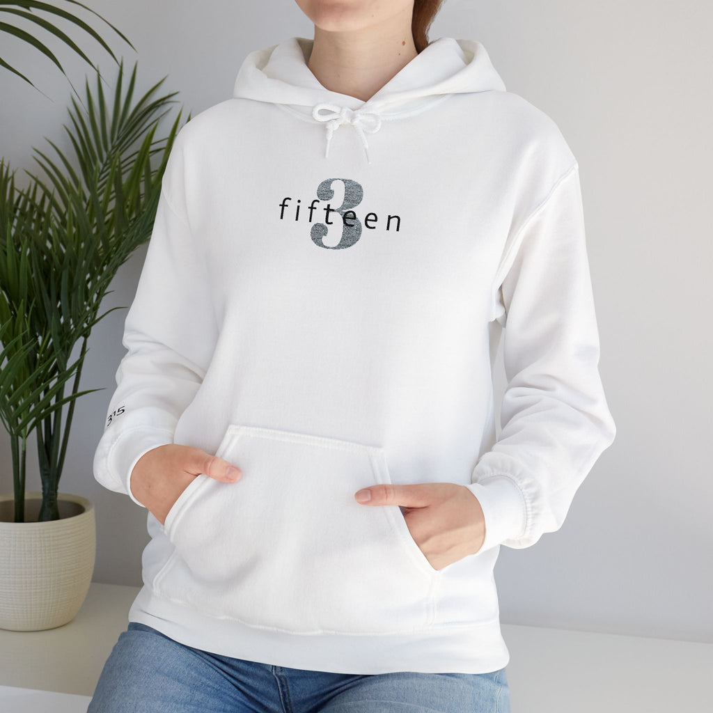 16 - Hoodie 3 Fifteen Embroidered Hoodie Multi Color - Hope Matters - Hoodie — Minimal Black Square Anchor Logo Pullover