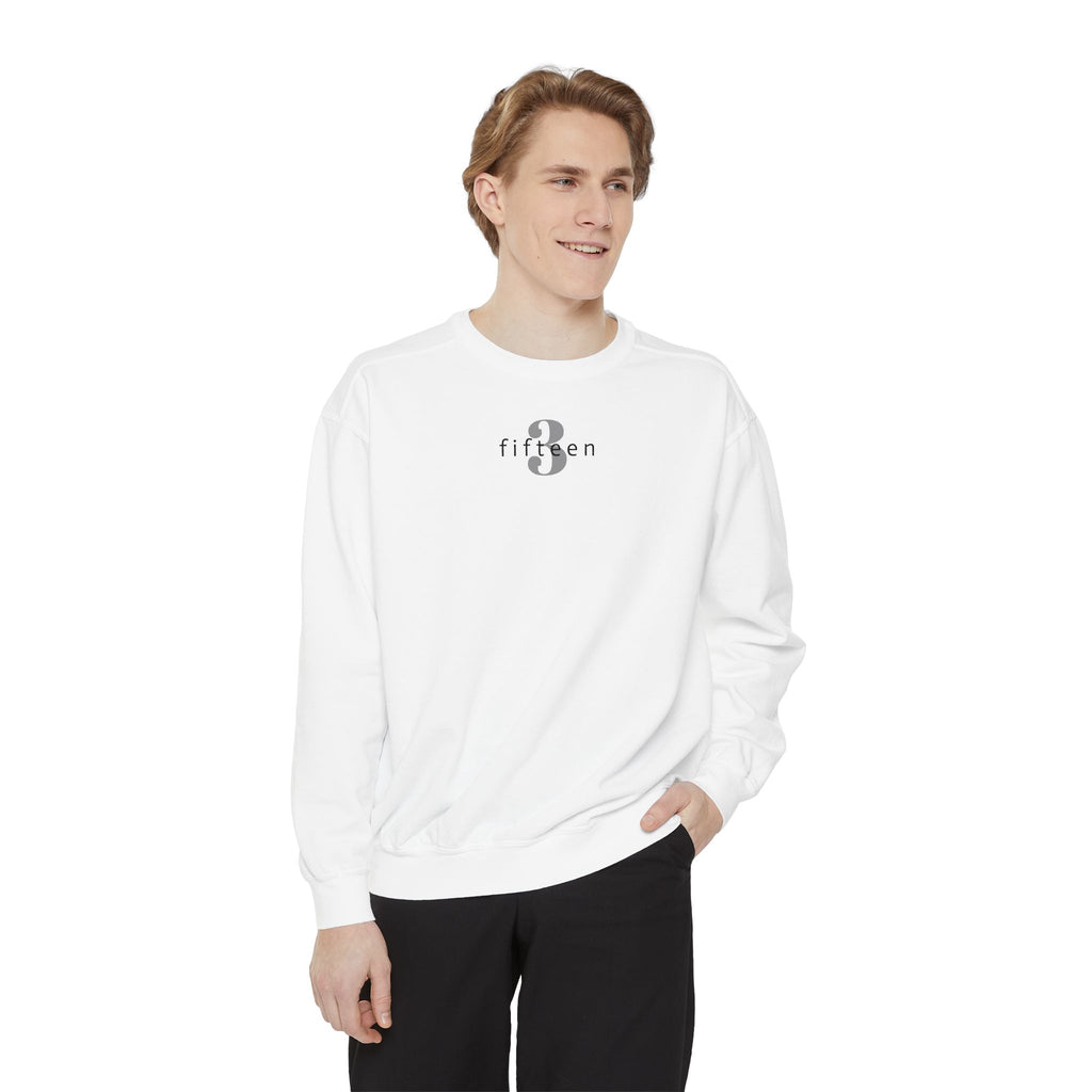15 - Sweatshirt Bold 315 Multi Color - Embroidered Minimalist Logo Sweatshirt —Crewneck Casual Pullover