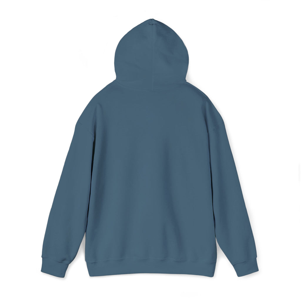 16 - 315 Be Like Jesus Embroidered Hoodie — Minimalist Distressed Graphic Sweatshirt