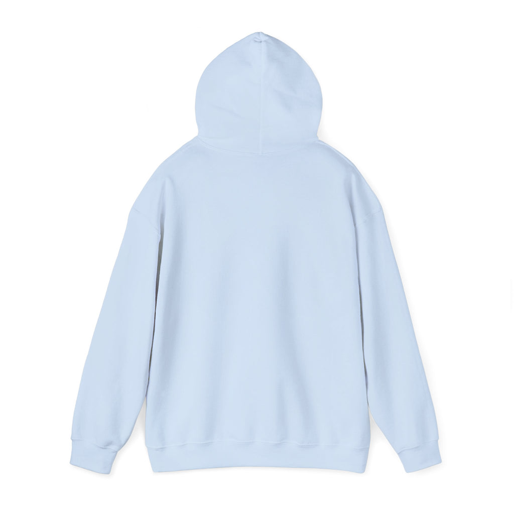 16 - Multi Color Custom Unisex Hooded Sweatshirt - Perfect for Everyday Comfort