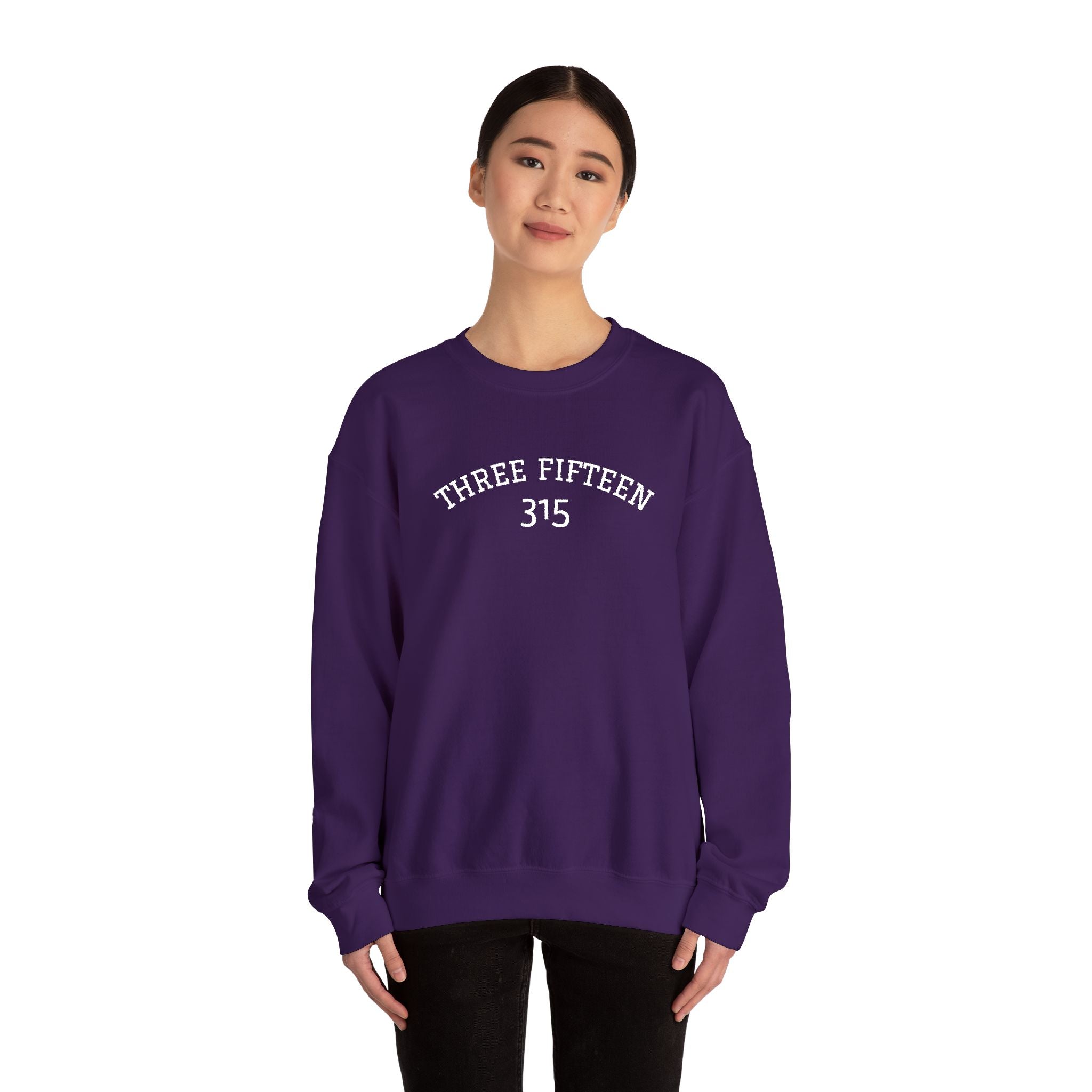 15 - Minimal '315' Embroidered Logo Crewneck Sweatshirt — White Casual Pullover