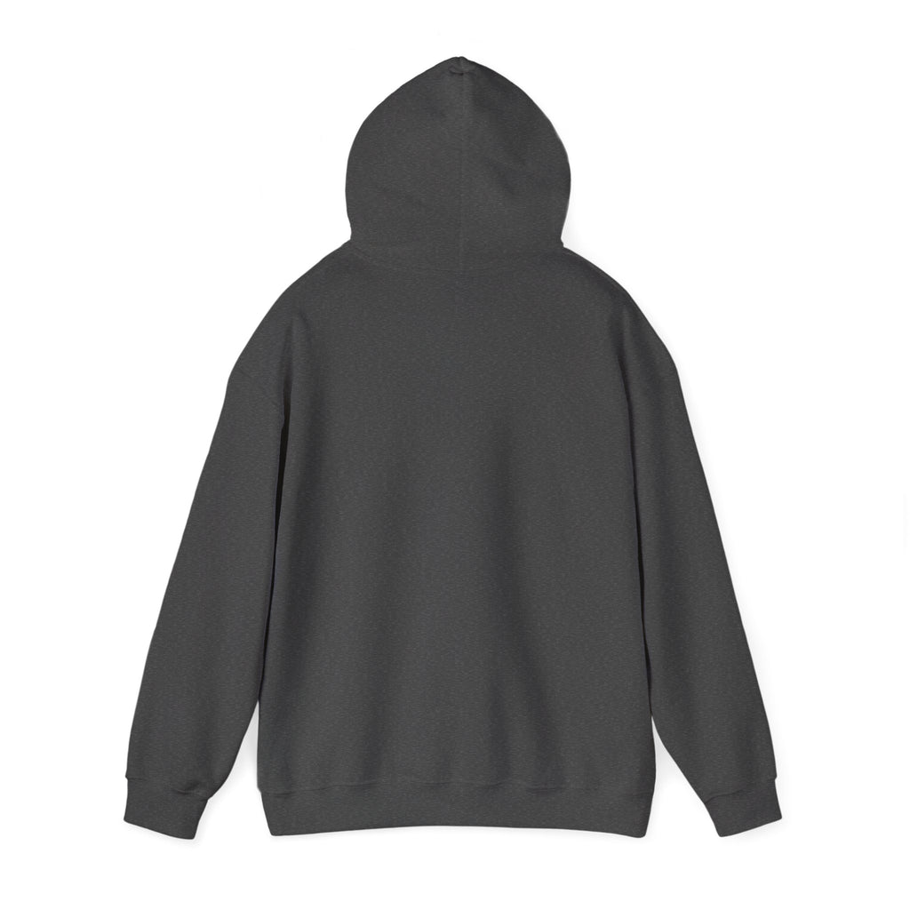 16 - Multi Color Custom Unisex Hooded Sweatshirt - Perfect for Everyday Comfort