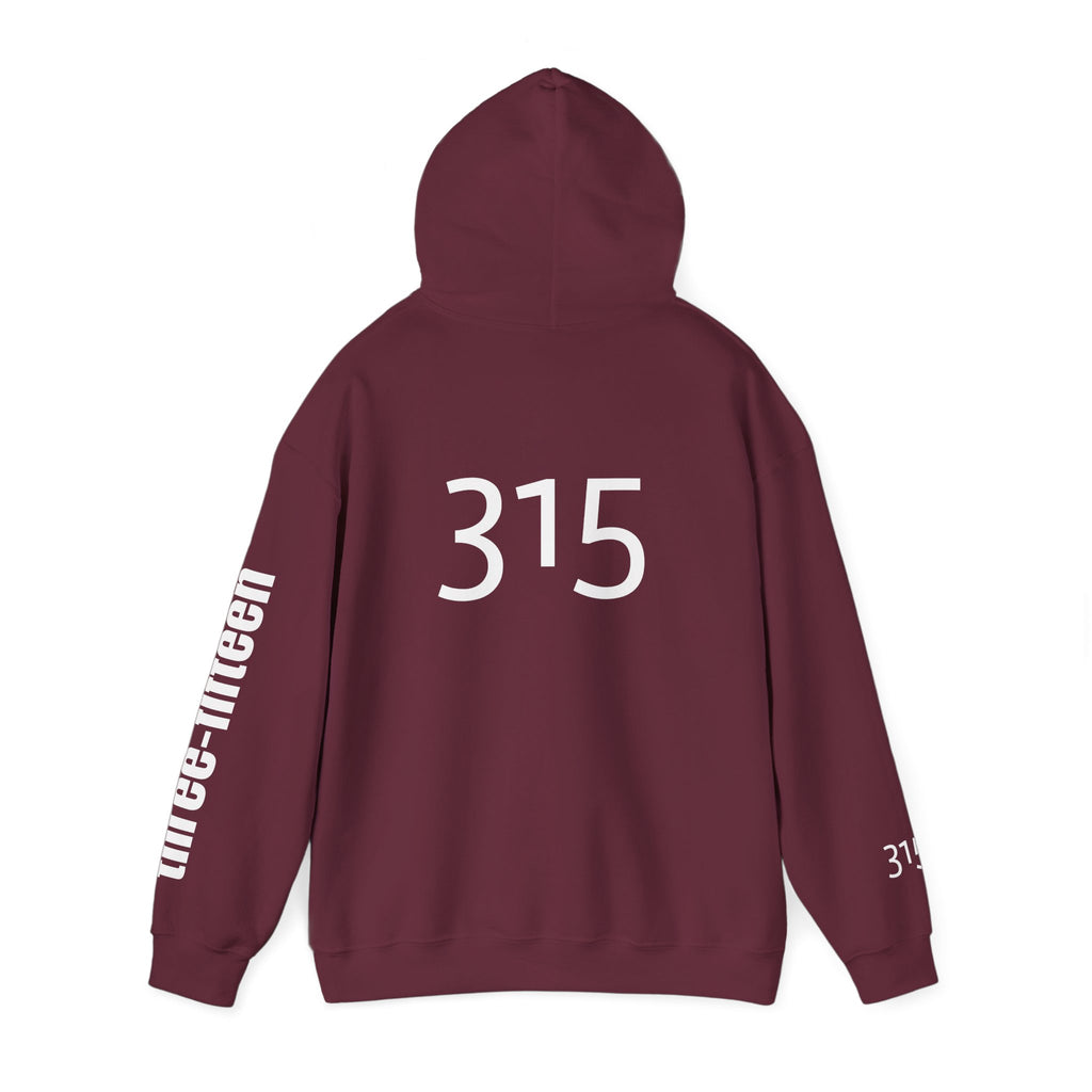 Multi Color Three-Fifteen Inspirational Quote Hoodie - This Isn't The End Of My Story