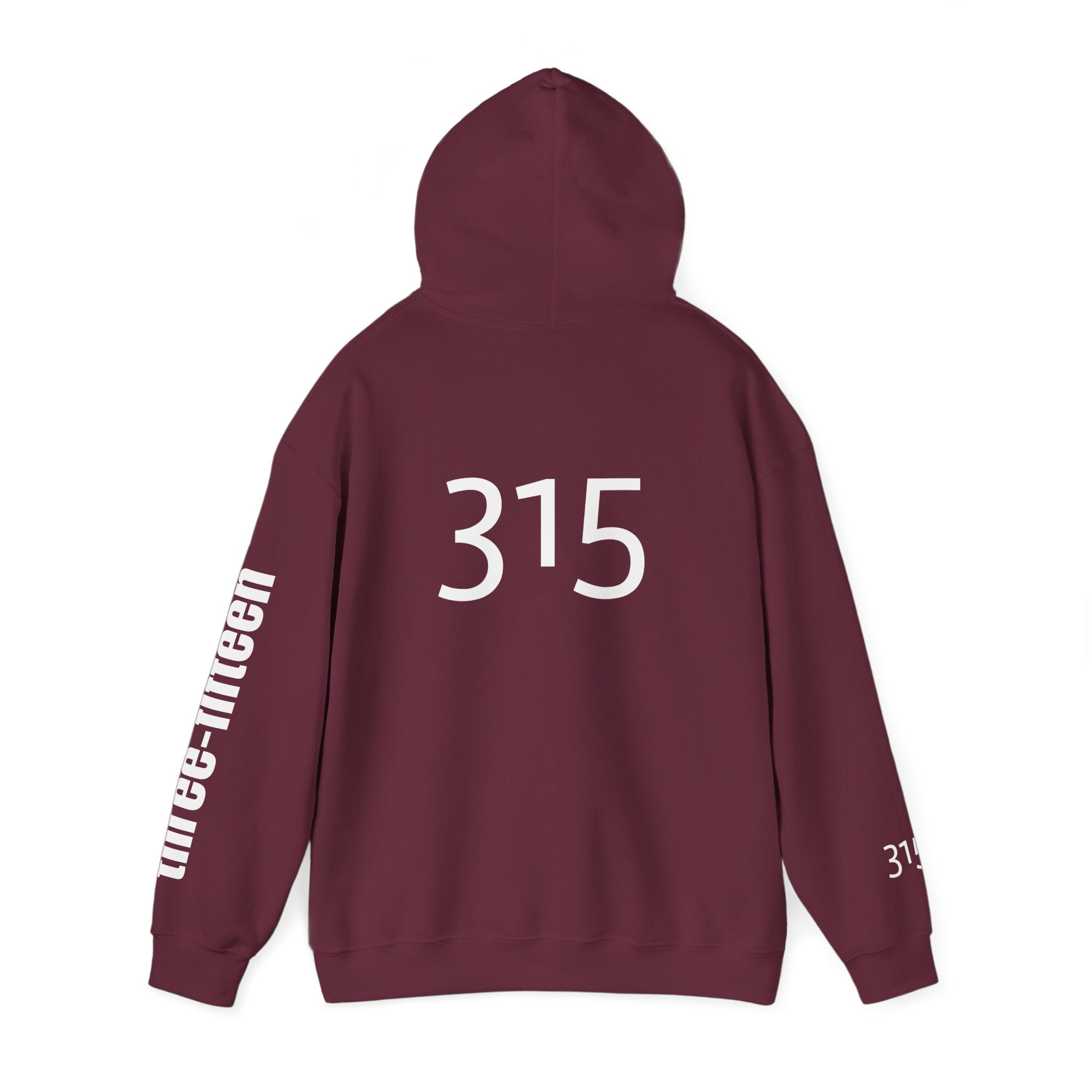 Multi Color Three-Fifteen Inspirational Quote Hoodie - This Isn't The End Of My Story