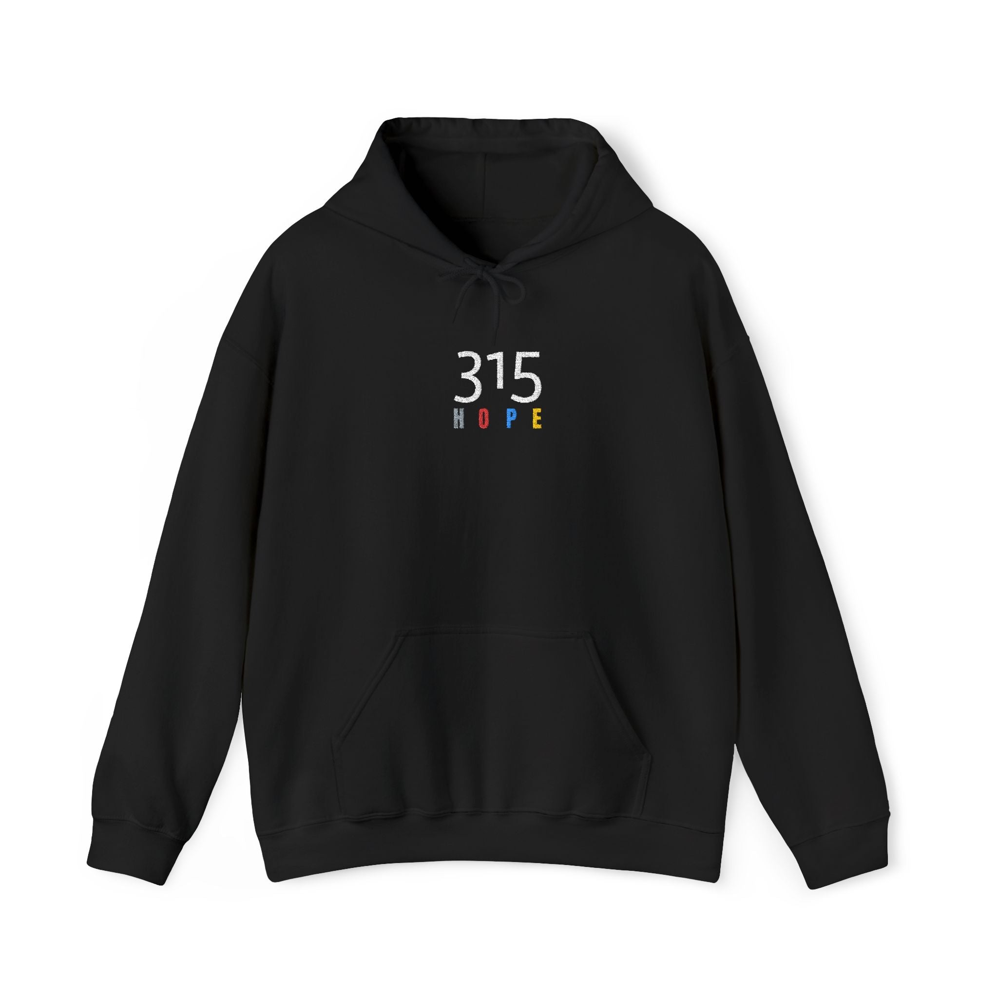 16 - 315 Hope Colors Embroidered Hoodie — Minimalist Distressed Graphic Sweatshirt